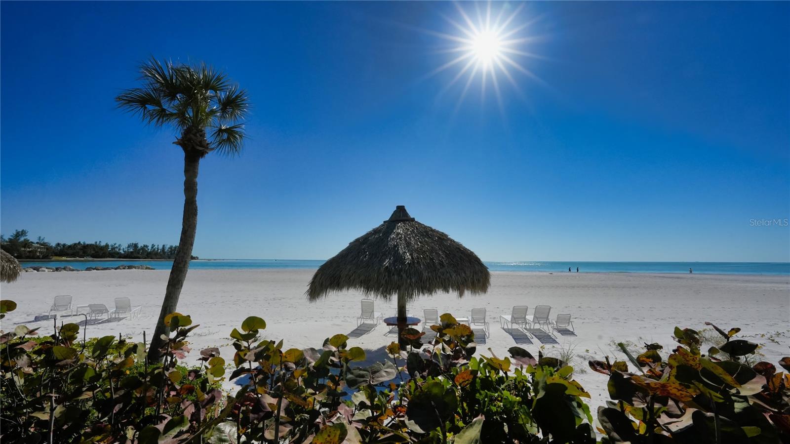 100 SANDS POINT RD #114