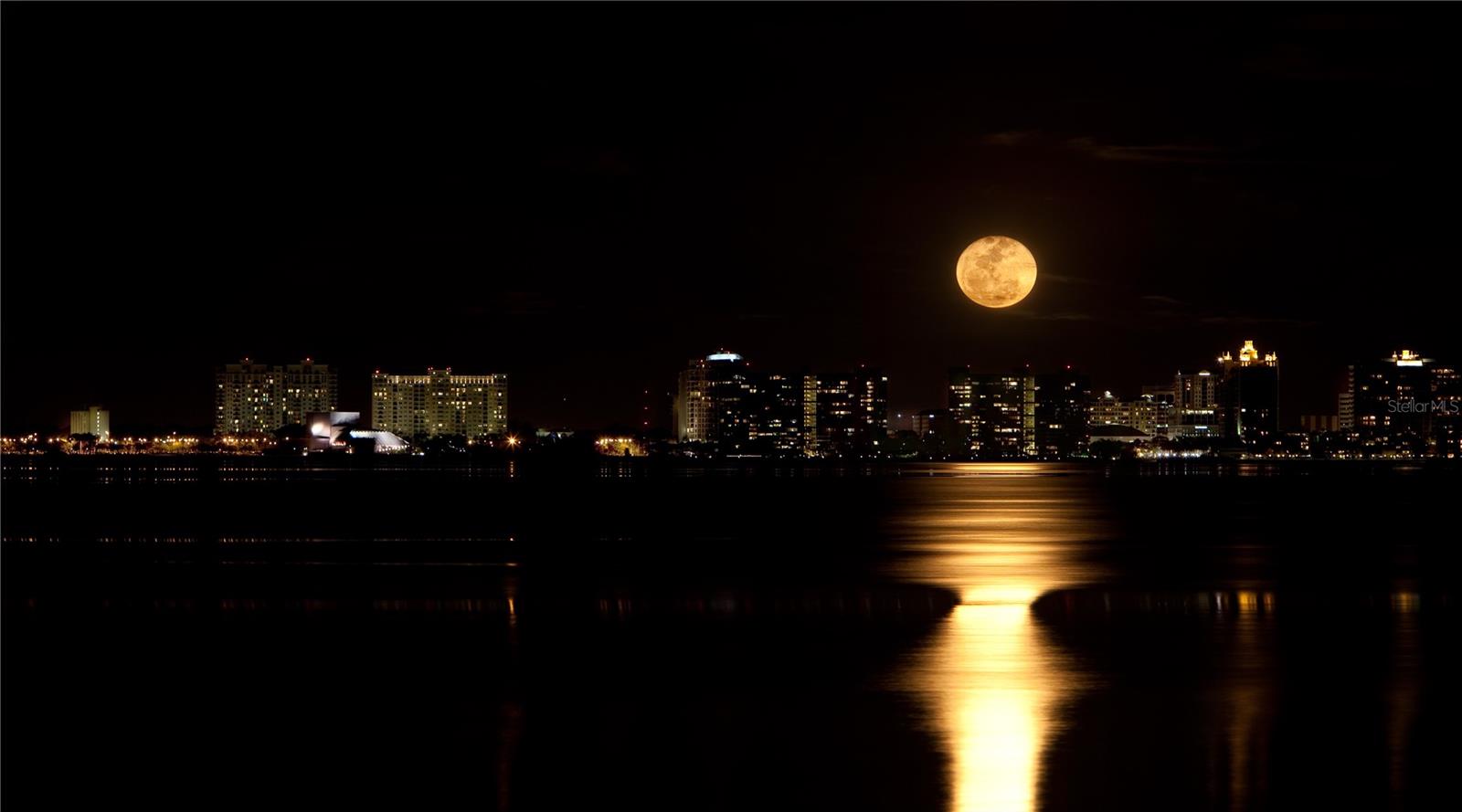 1111 N GULFSTREAM AVE #10E