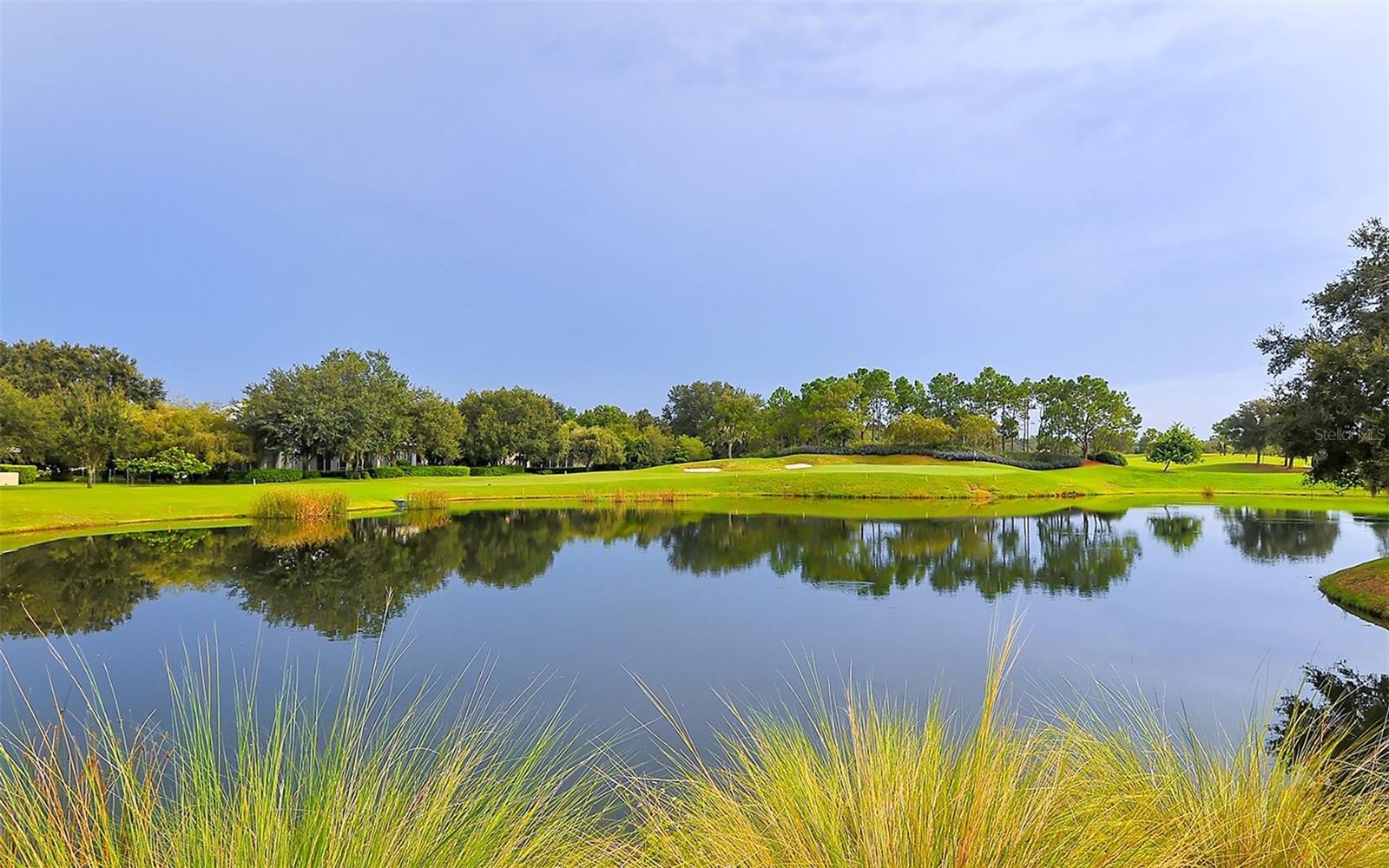 3295 ALEX FINDLAY PL