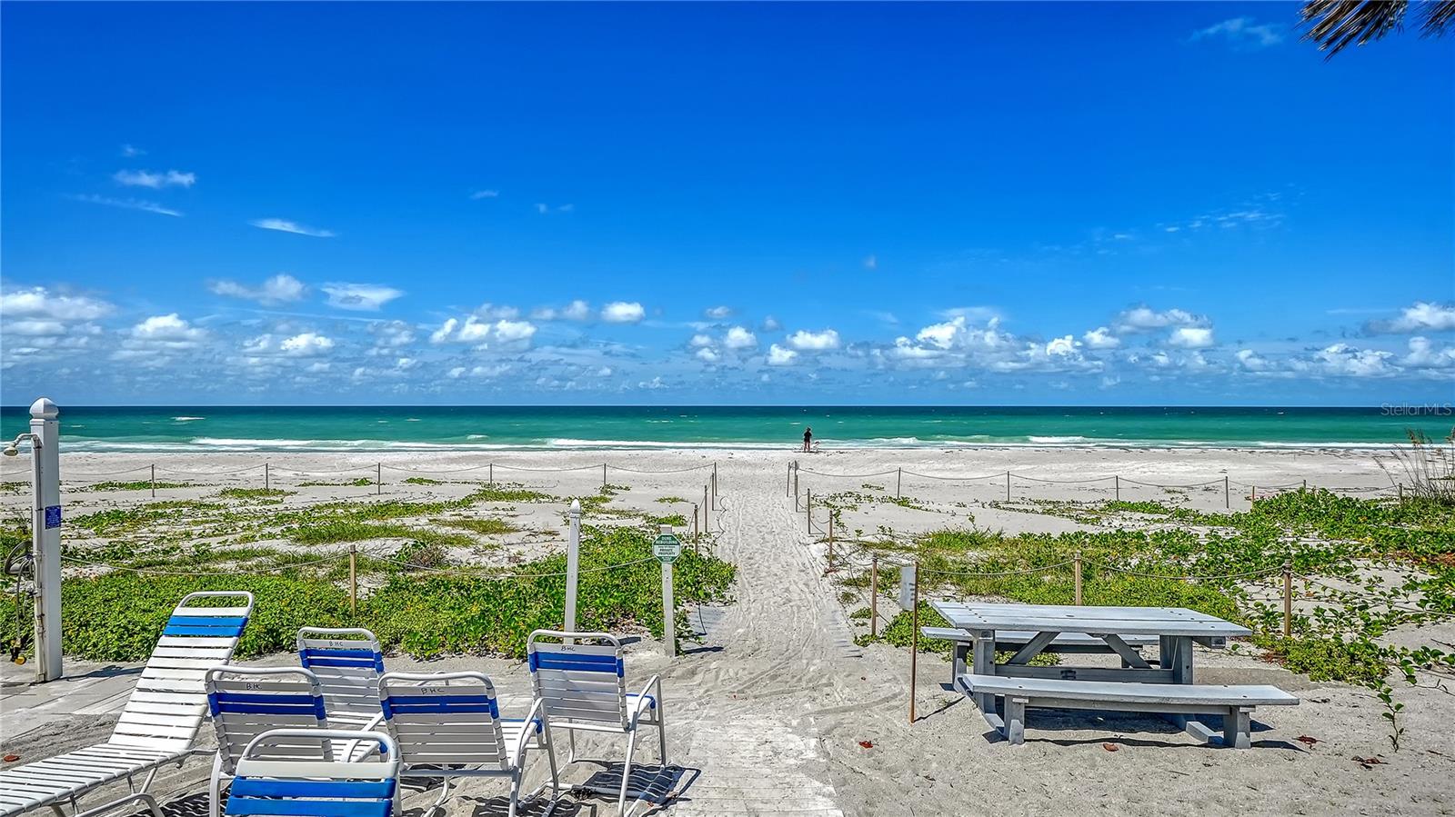 3808 GULF OF MEXICO DR #E412