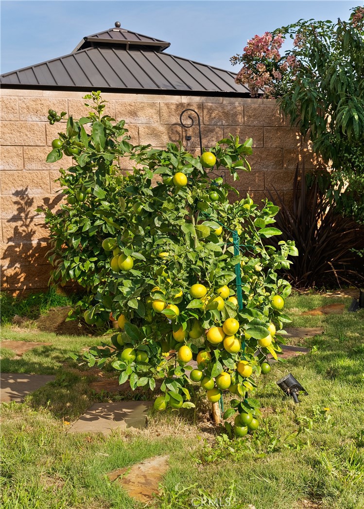 27628 Evergreen Place