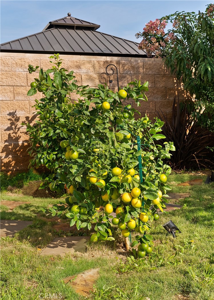 27628 Evergreen Place