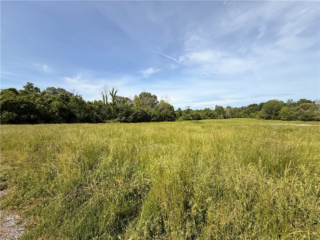 Lot #4 Freshour Road