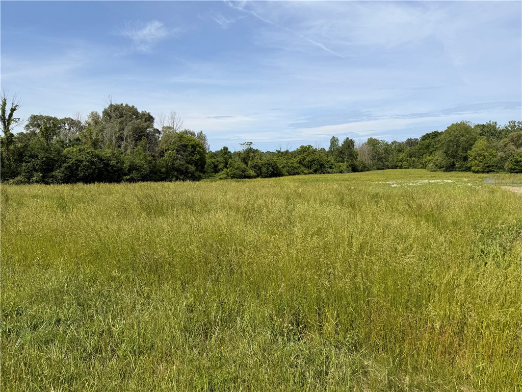 Lot #4 Freshour Road