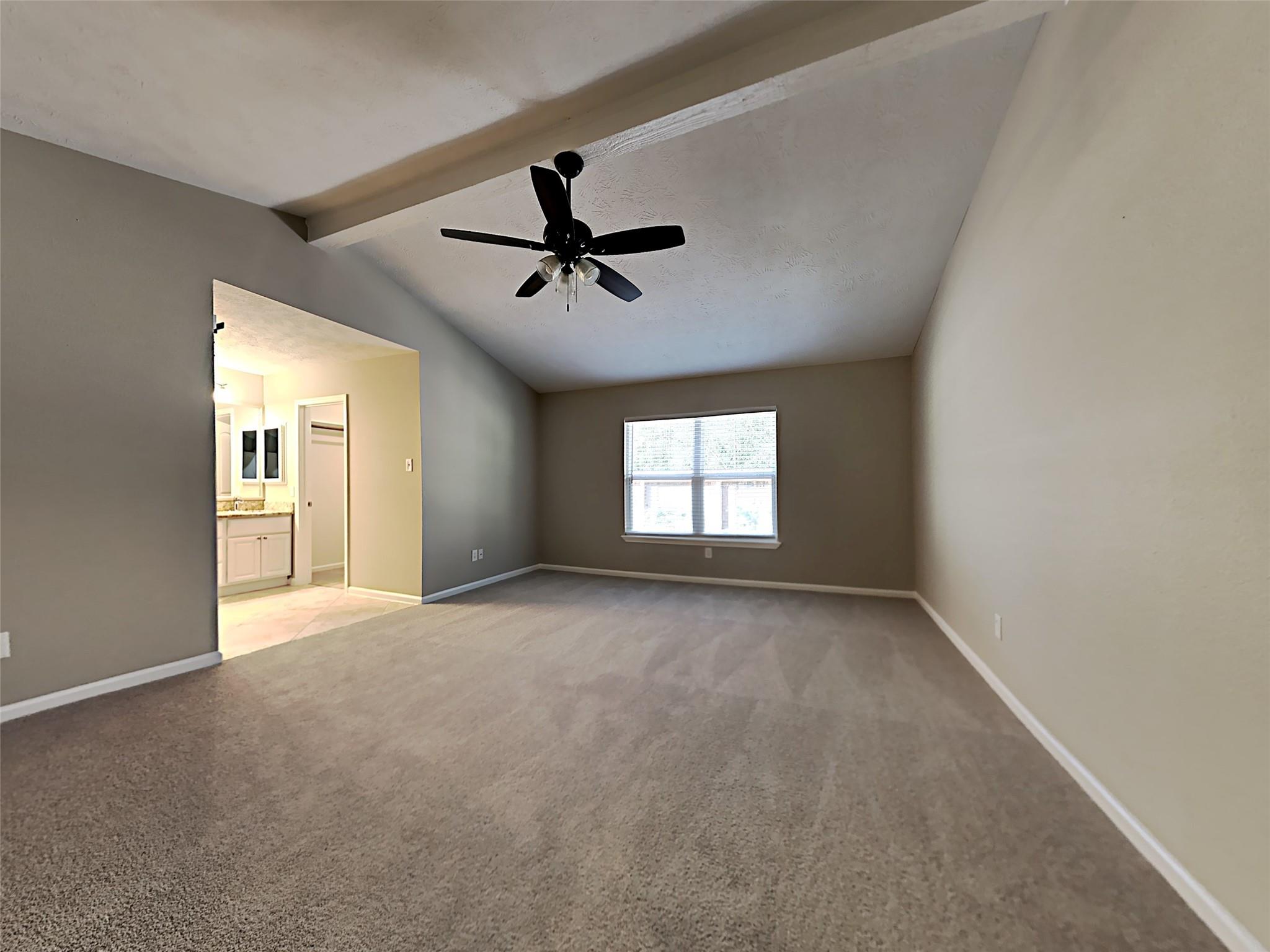41 Kittiwake Court