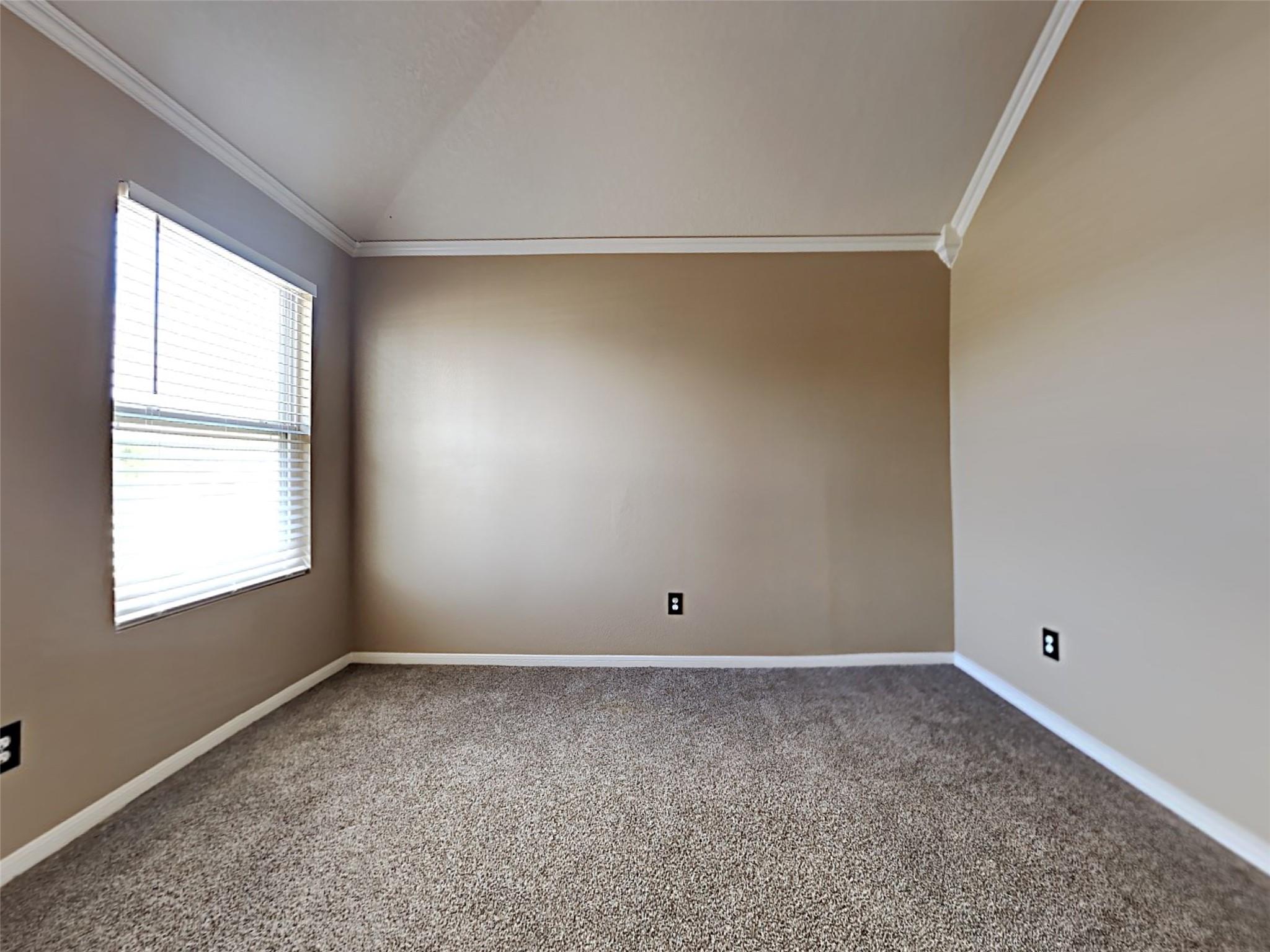 29491 Forest Floor Lane