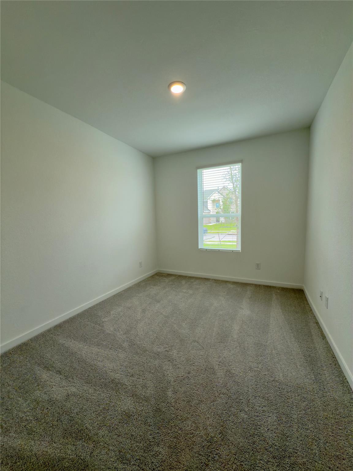3018 Palm Branch Dr