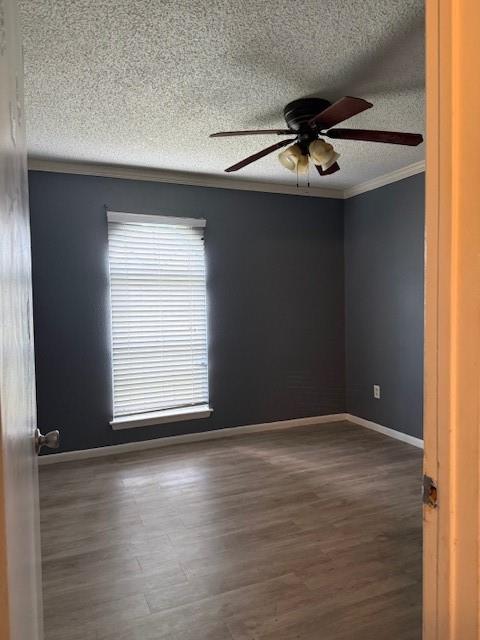 10014 Carlow Lane