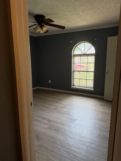 10014 Carlow Lane