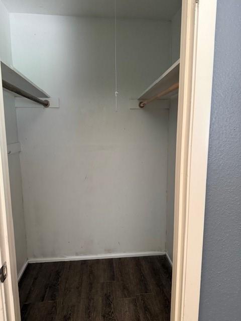 10014 Carlow Lane