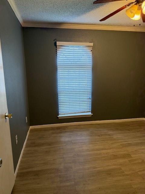 10014 Carlow Lane