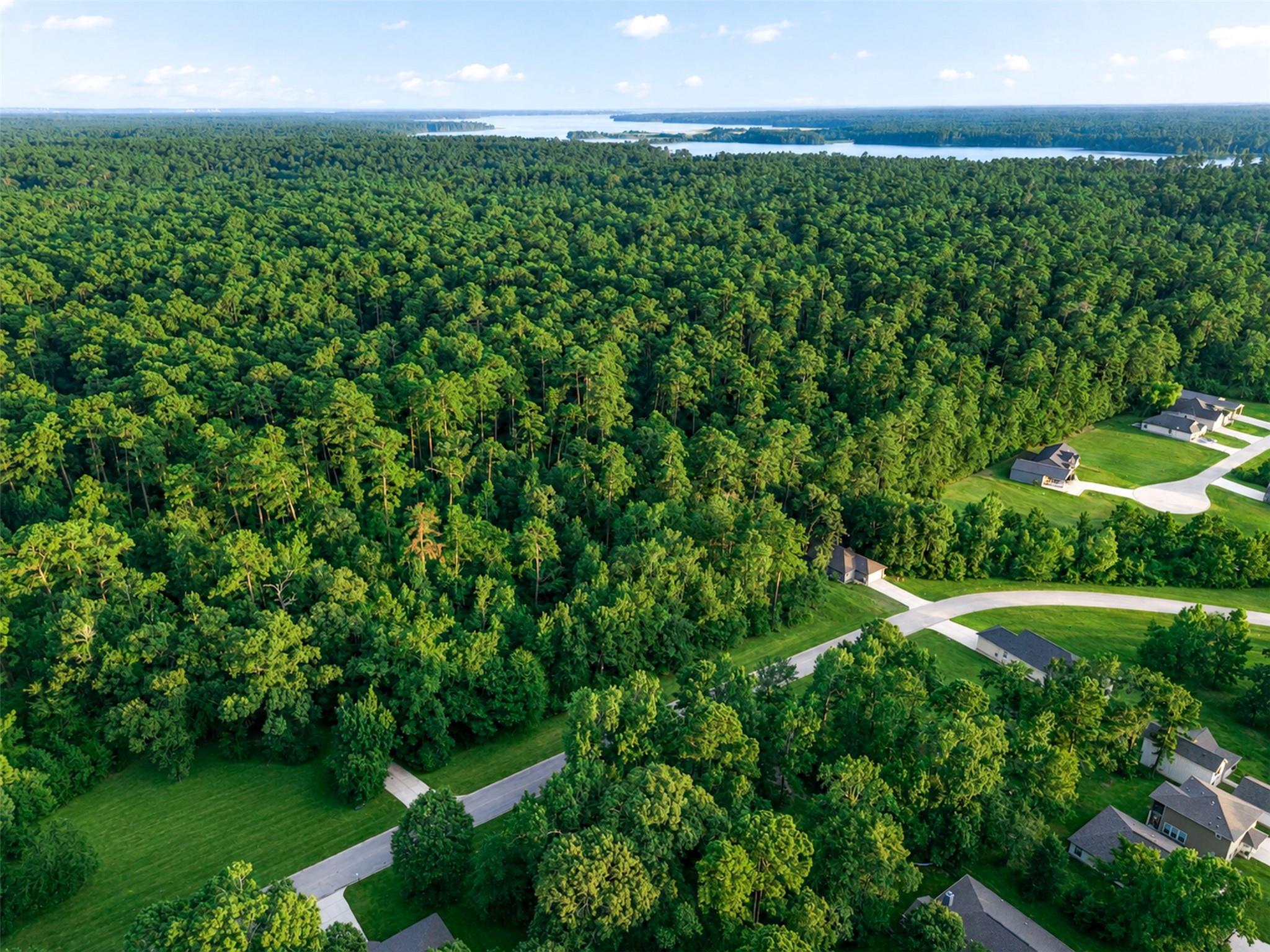 100 N Forest Drive