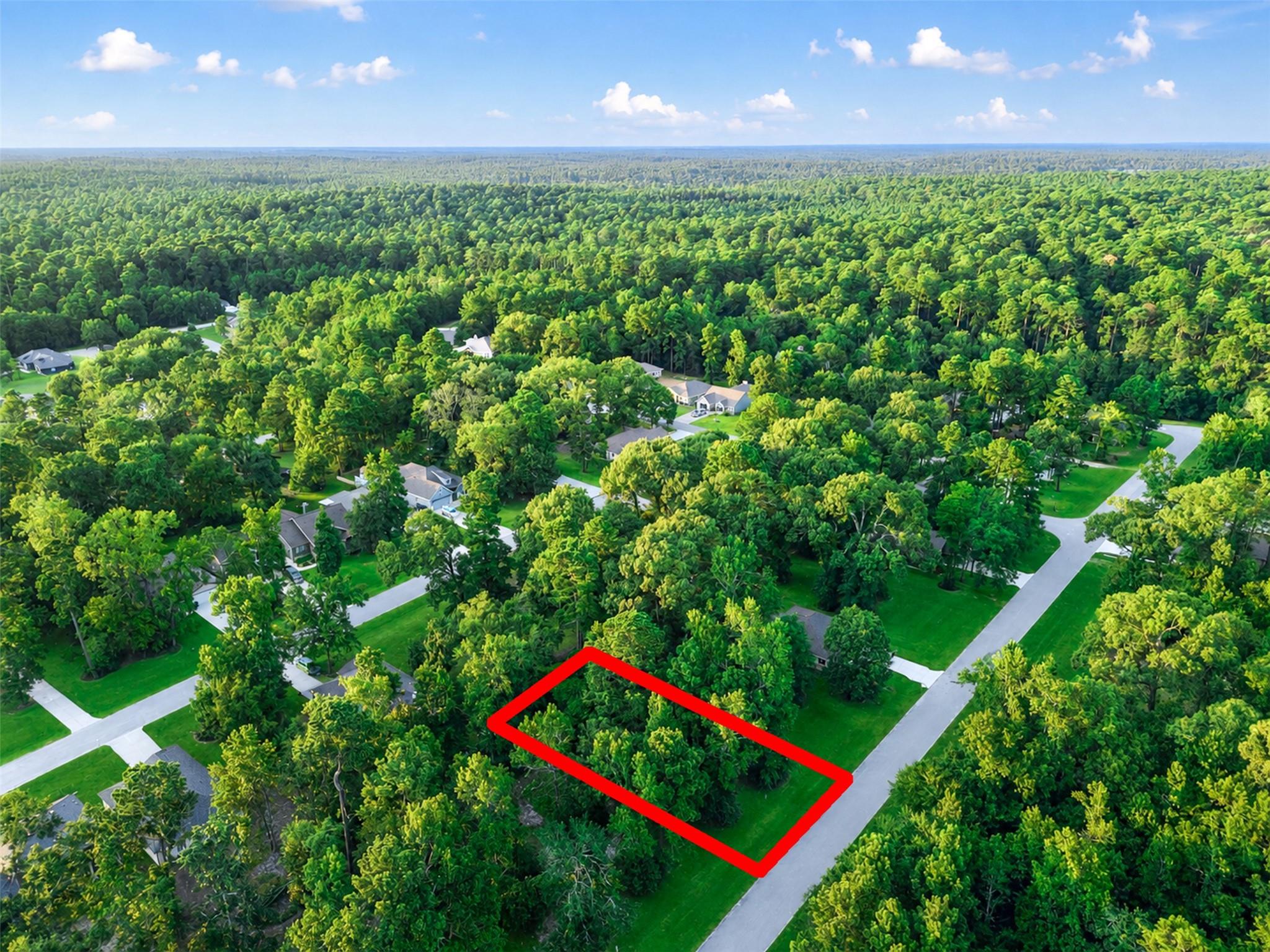 100 N Forest Drive