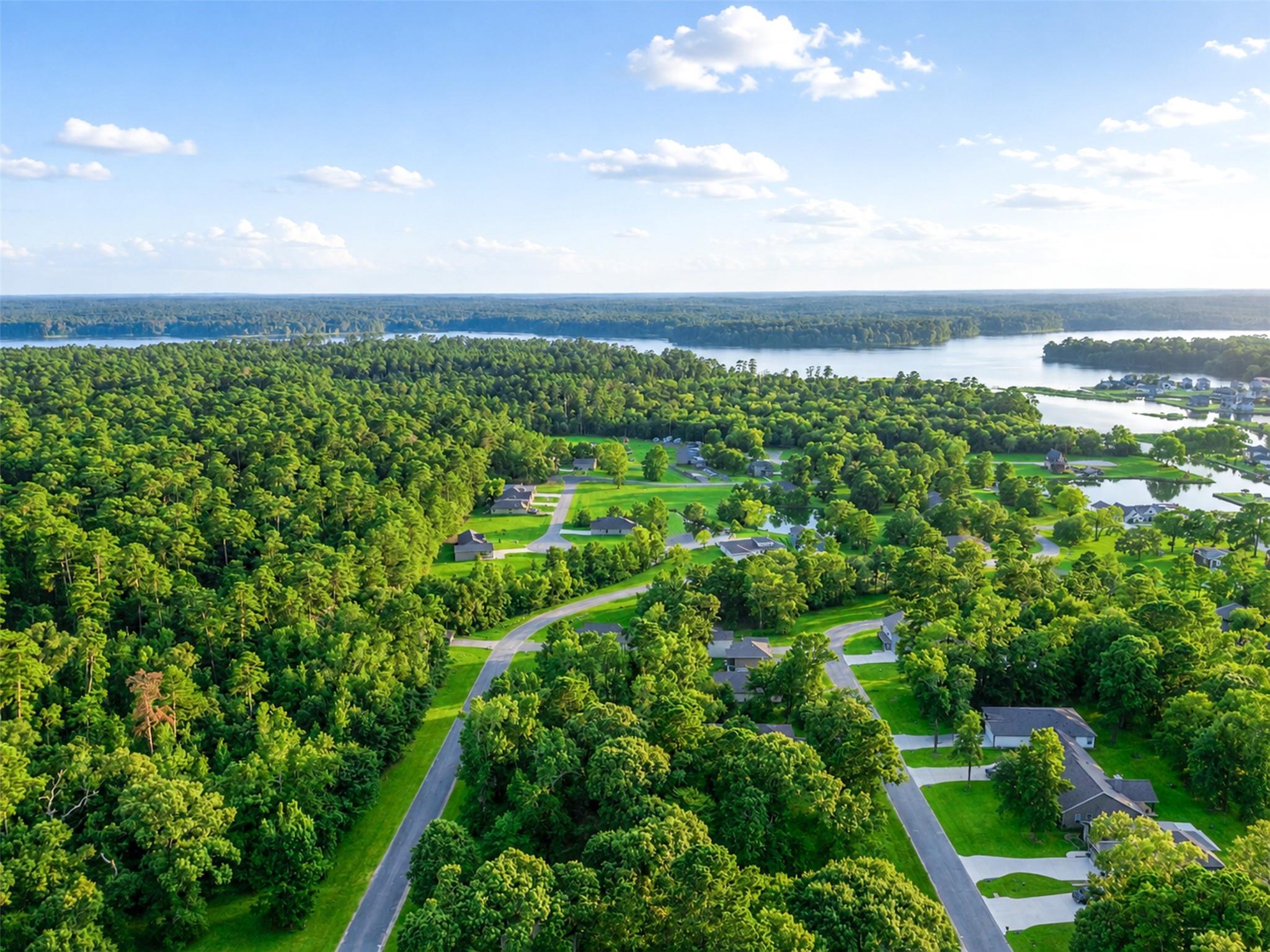 100 N Forest Drive