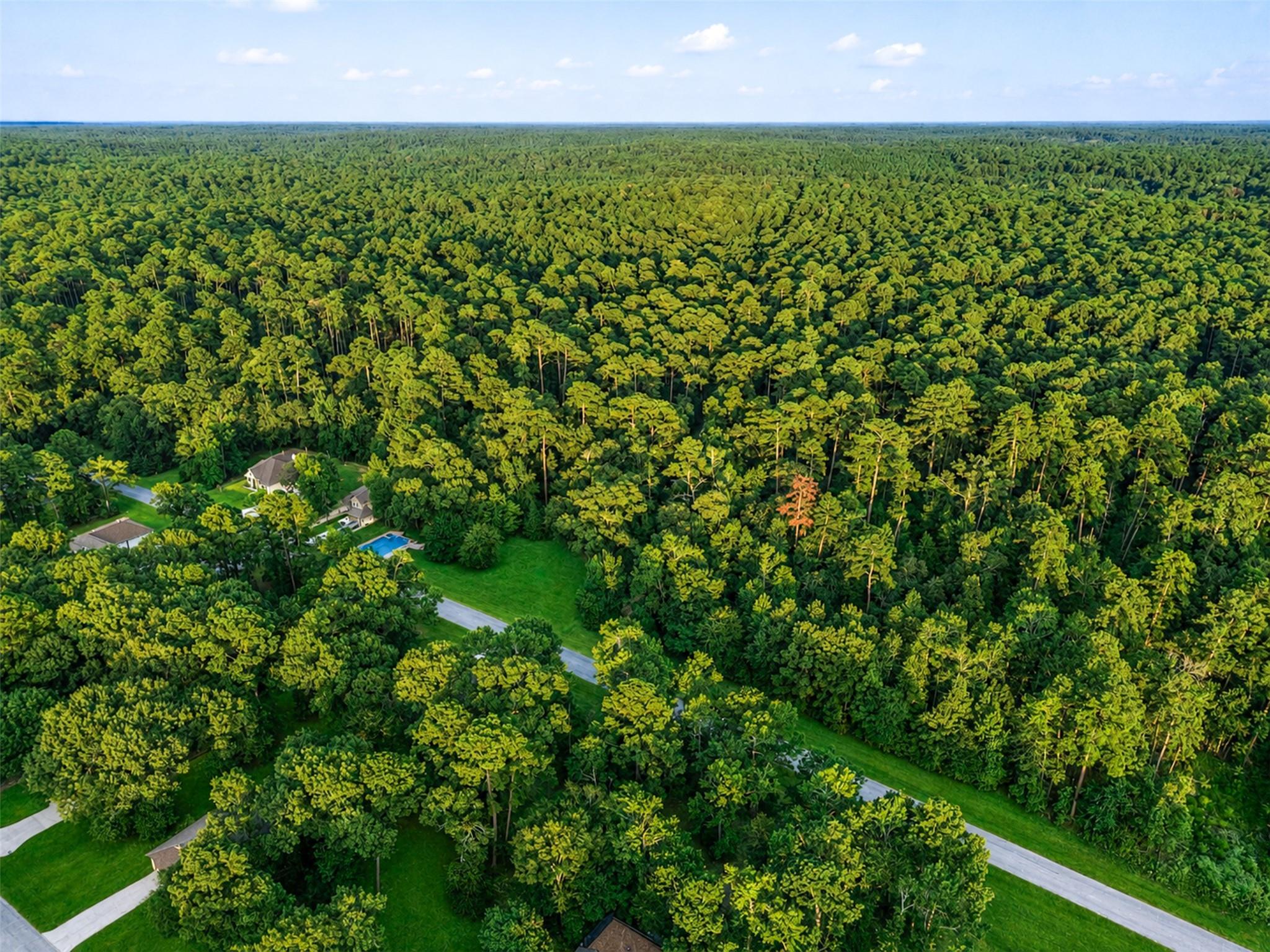 100 N Forest Drive