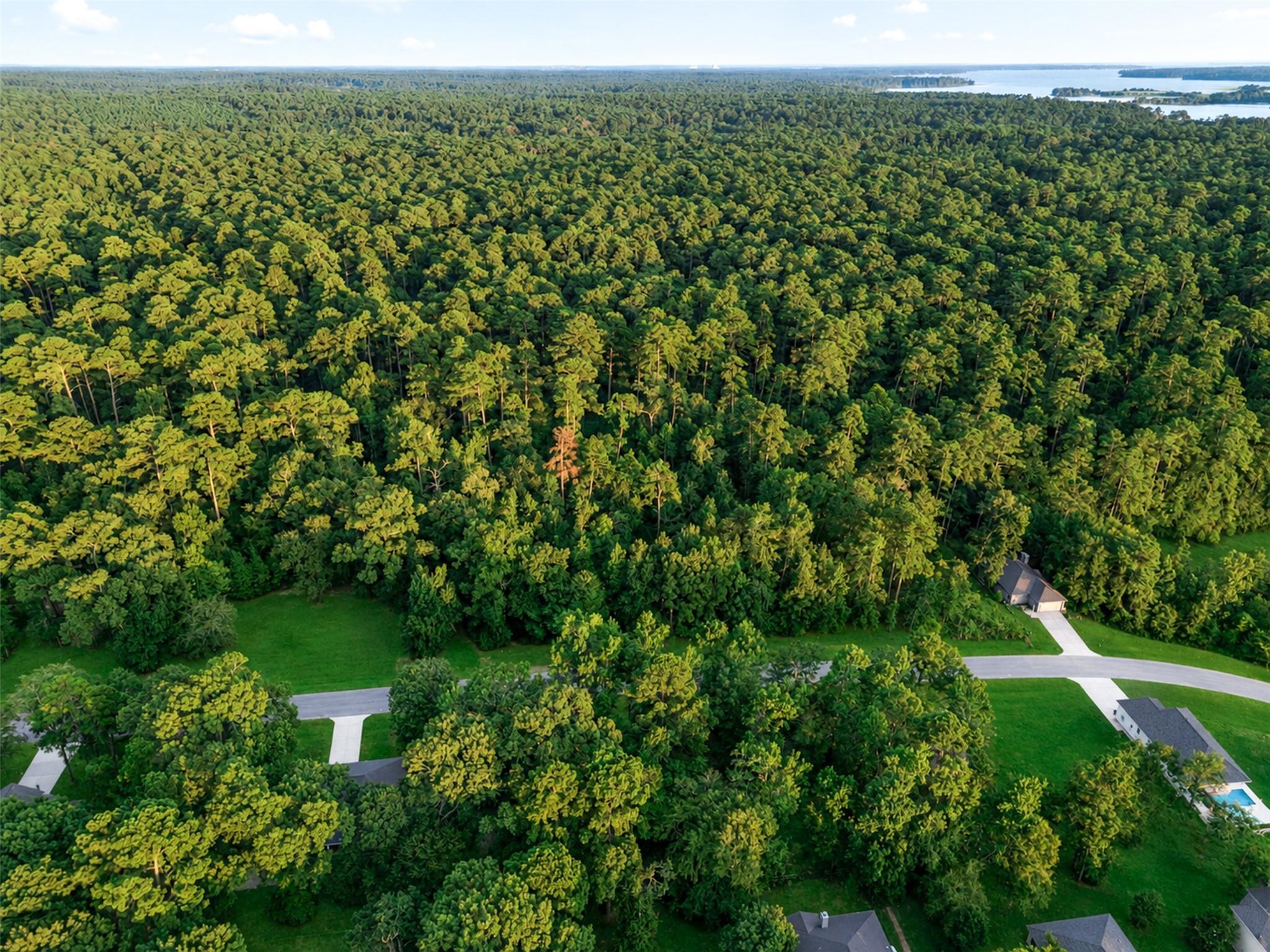100 N Forest Drive