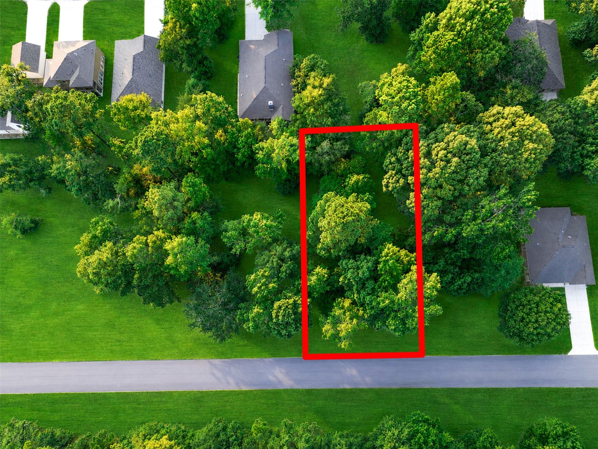 100 N Forest Drive