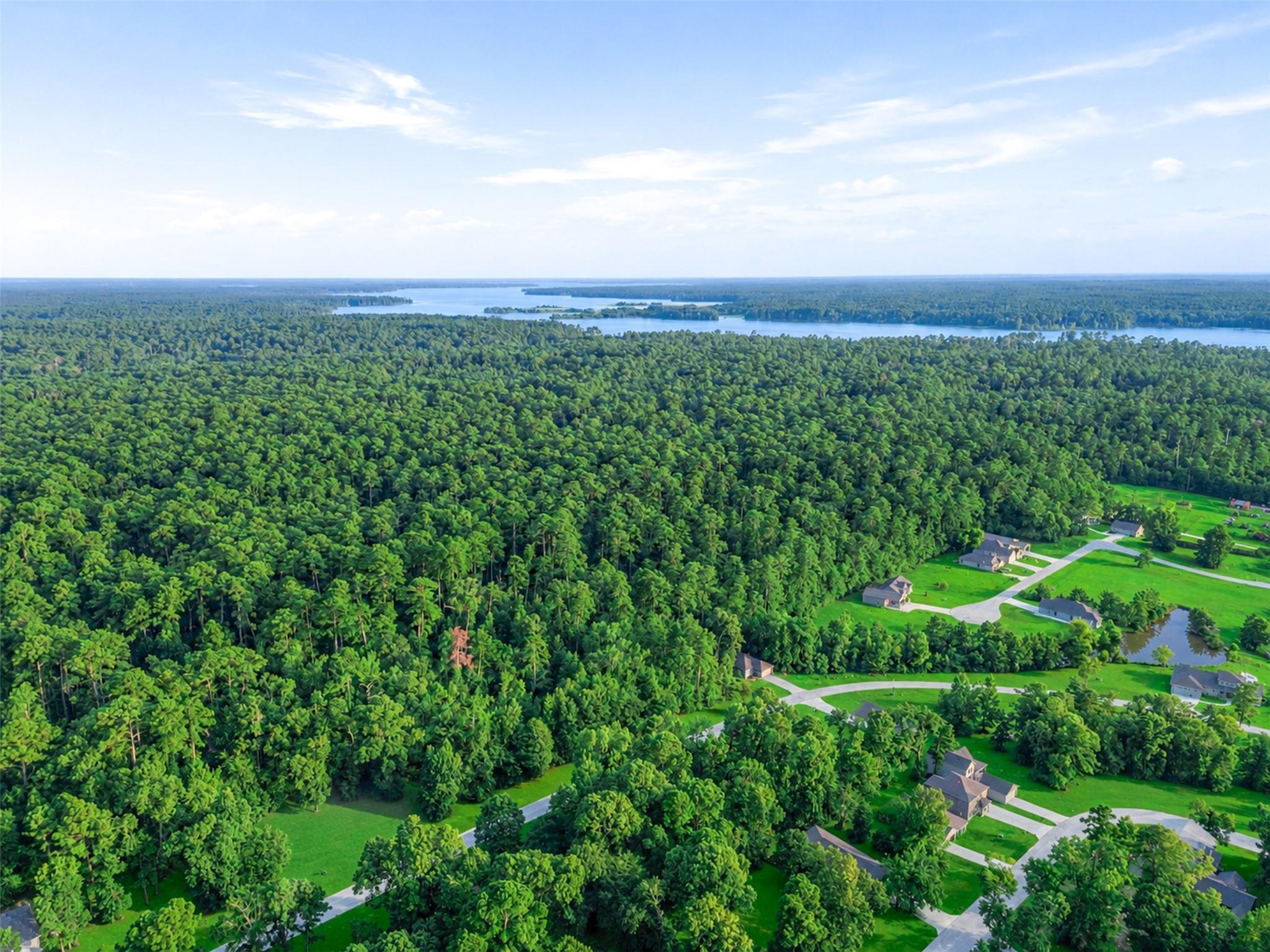 100 N Forest Drive