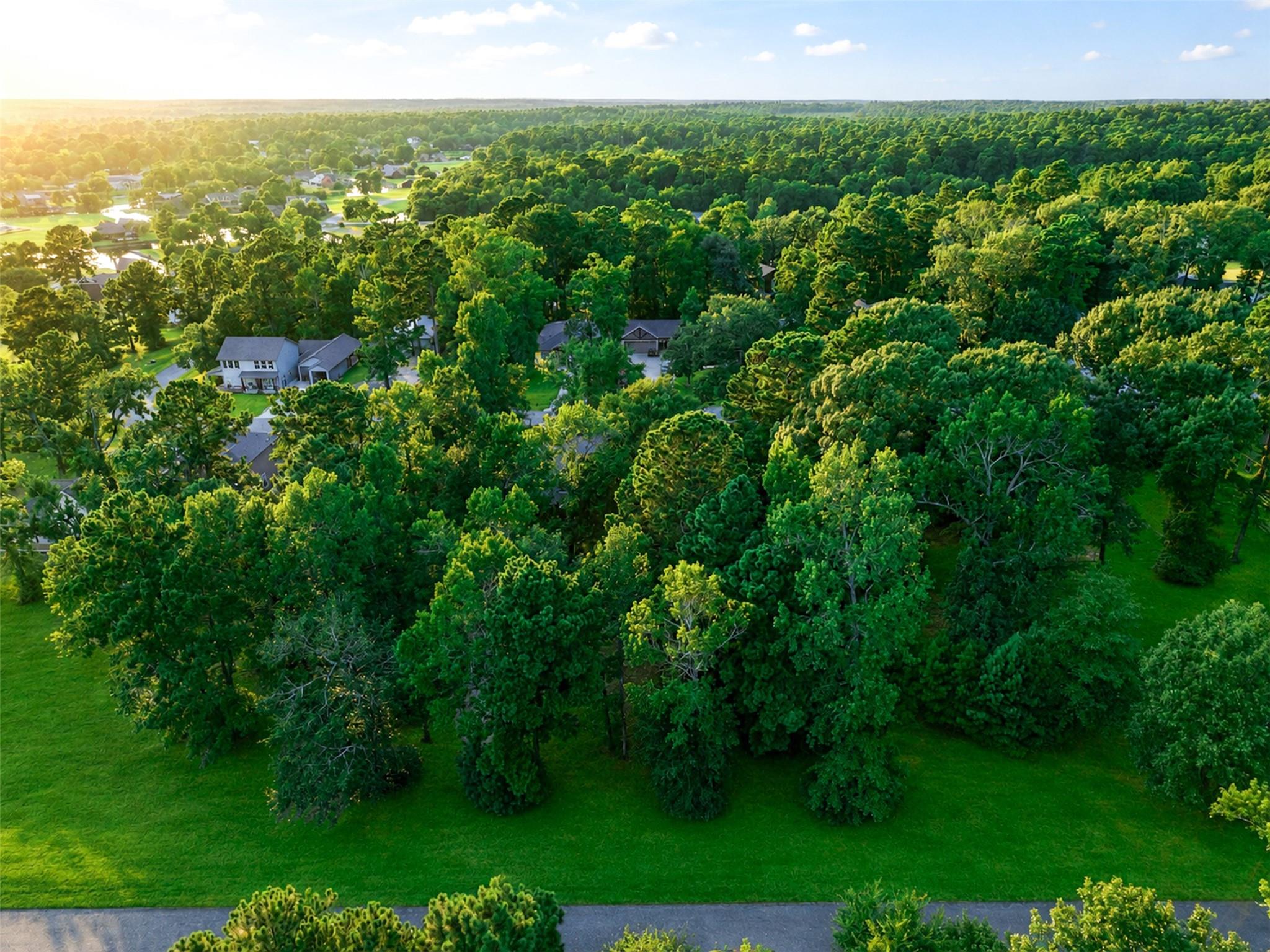 100 N Forest Drive