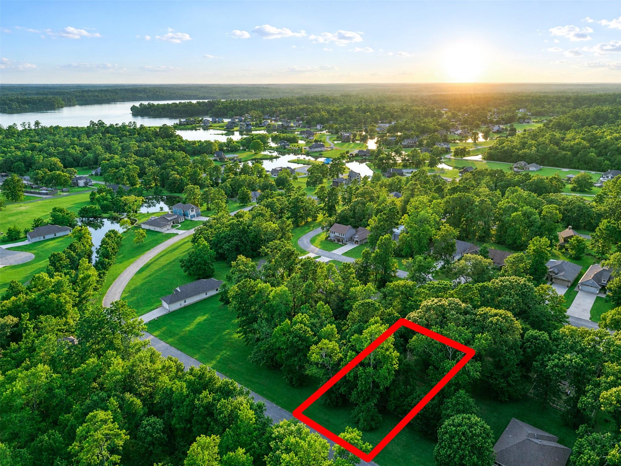 100 N Forest Drive