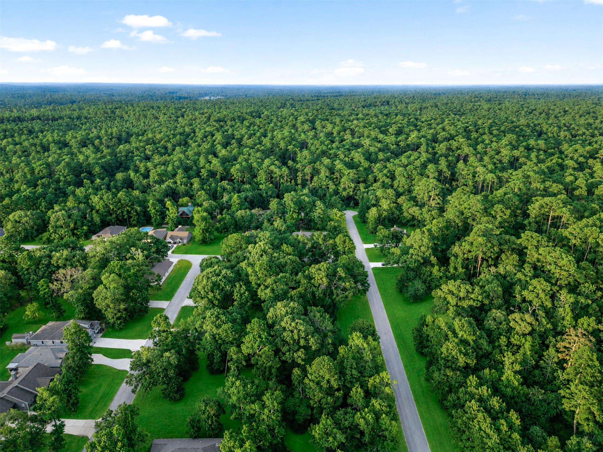 100 N Forest Drive