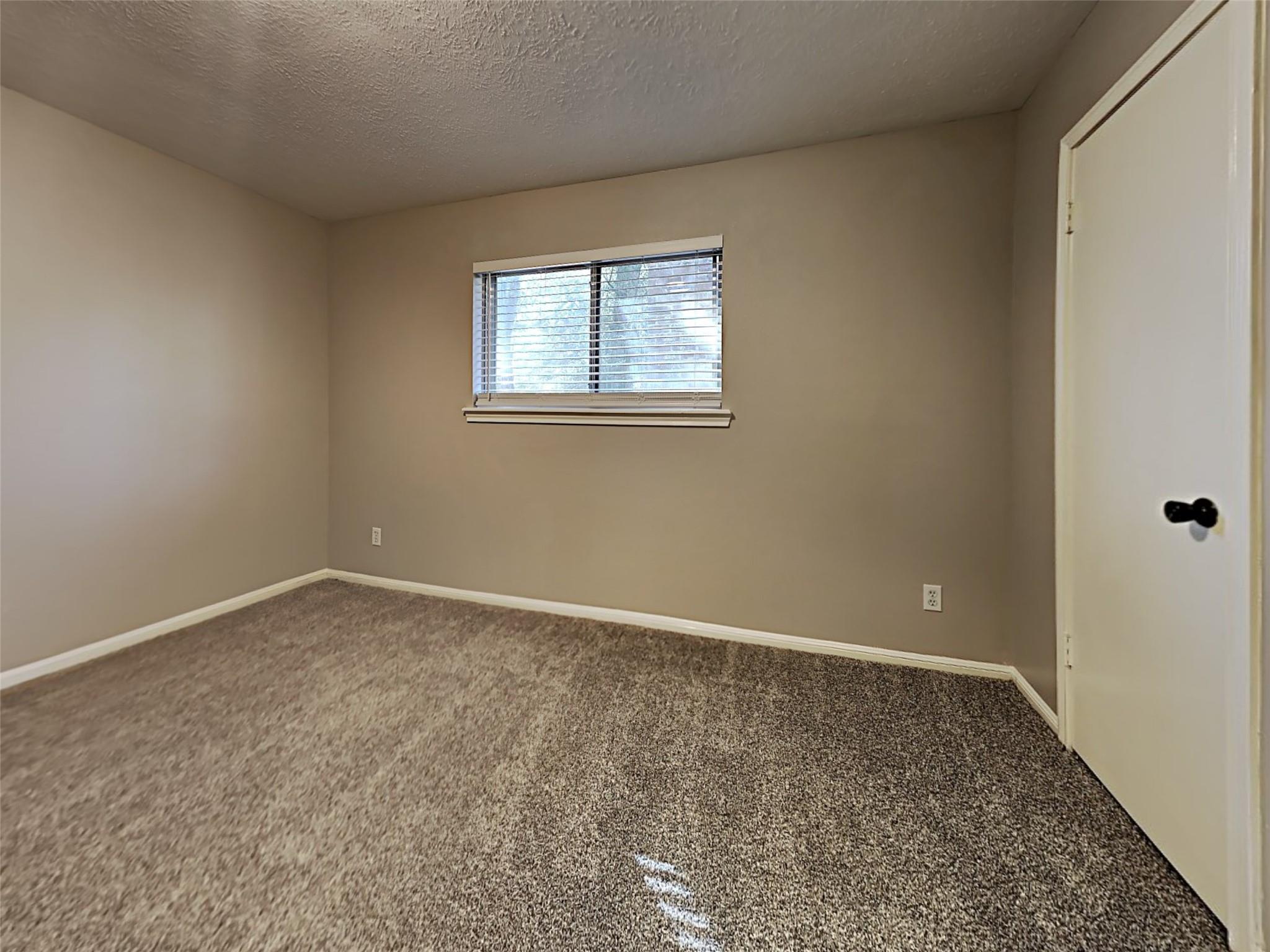 12015 Soft Pines Drive