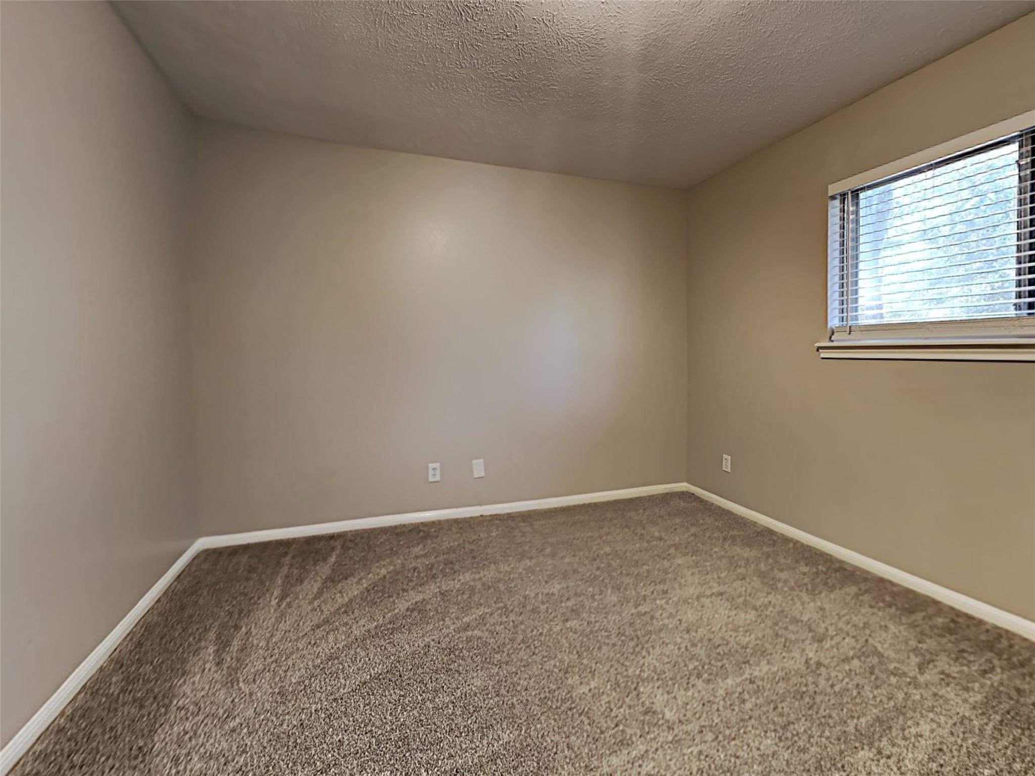 12015 Soft Pines Drive