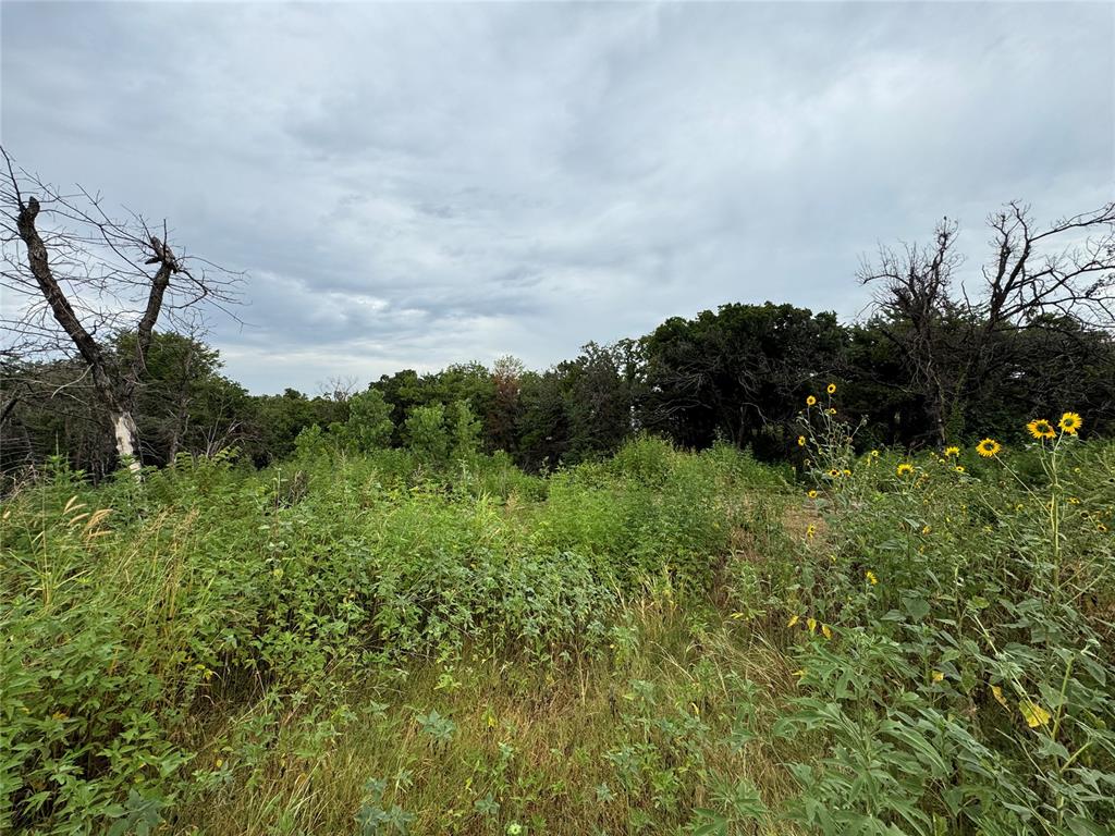 2884 Springridge Road