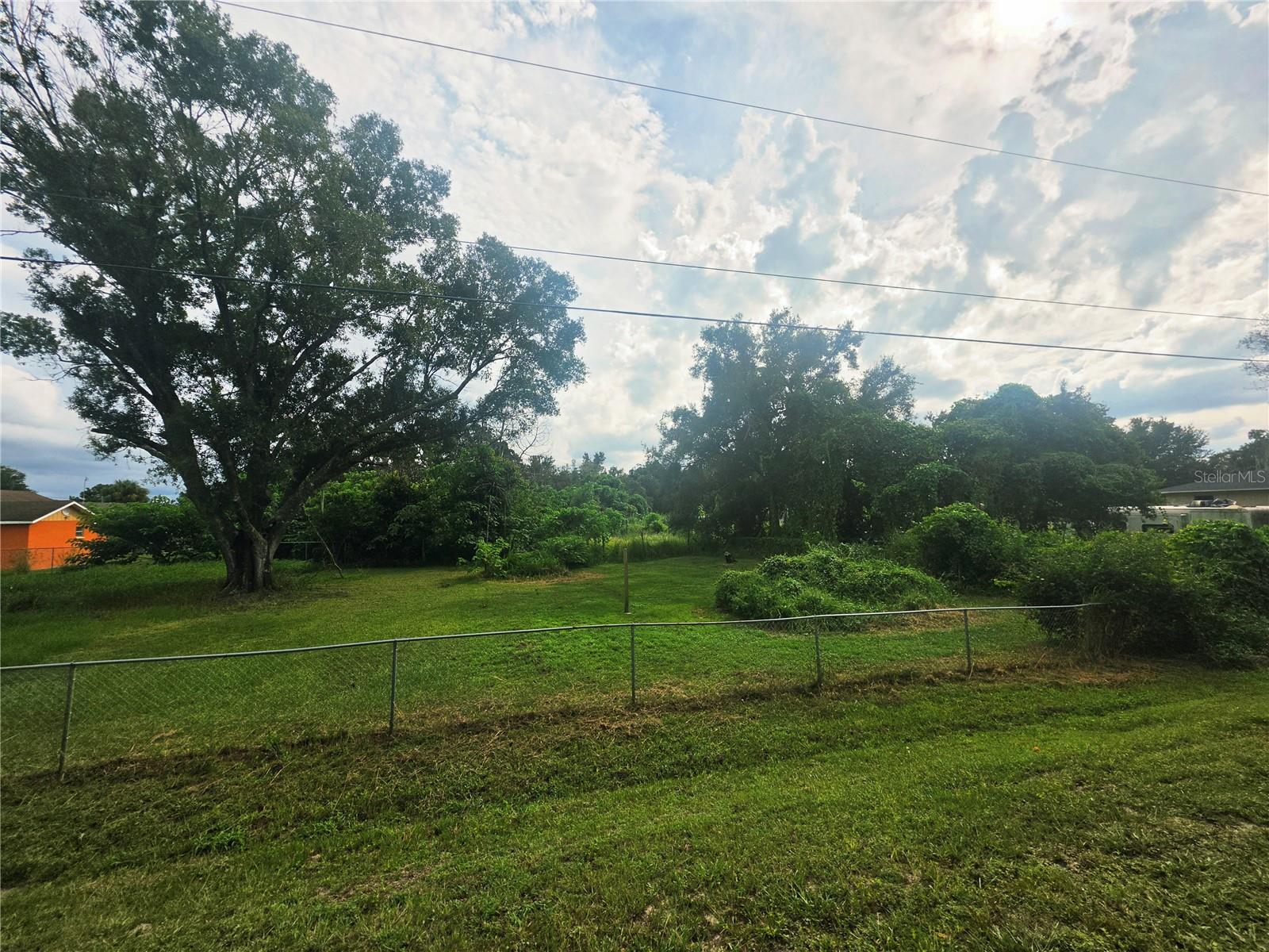Grassy vacant lot with mature trees and a chain-link fence in Mulberry, Florida.