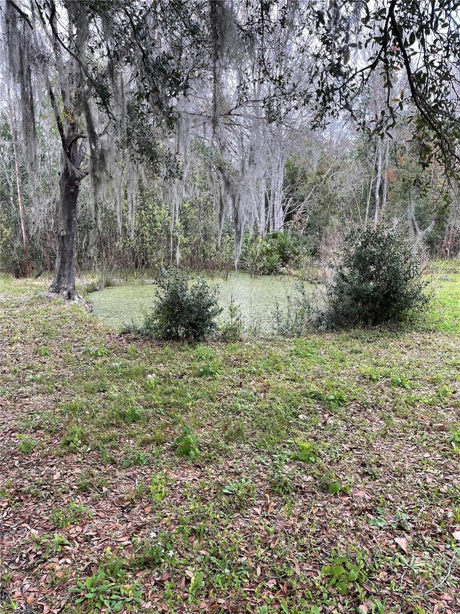 10111 MOORE RD