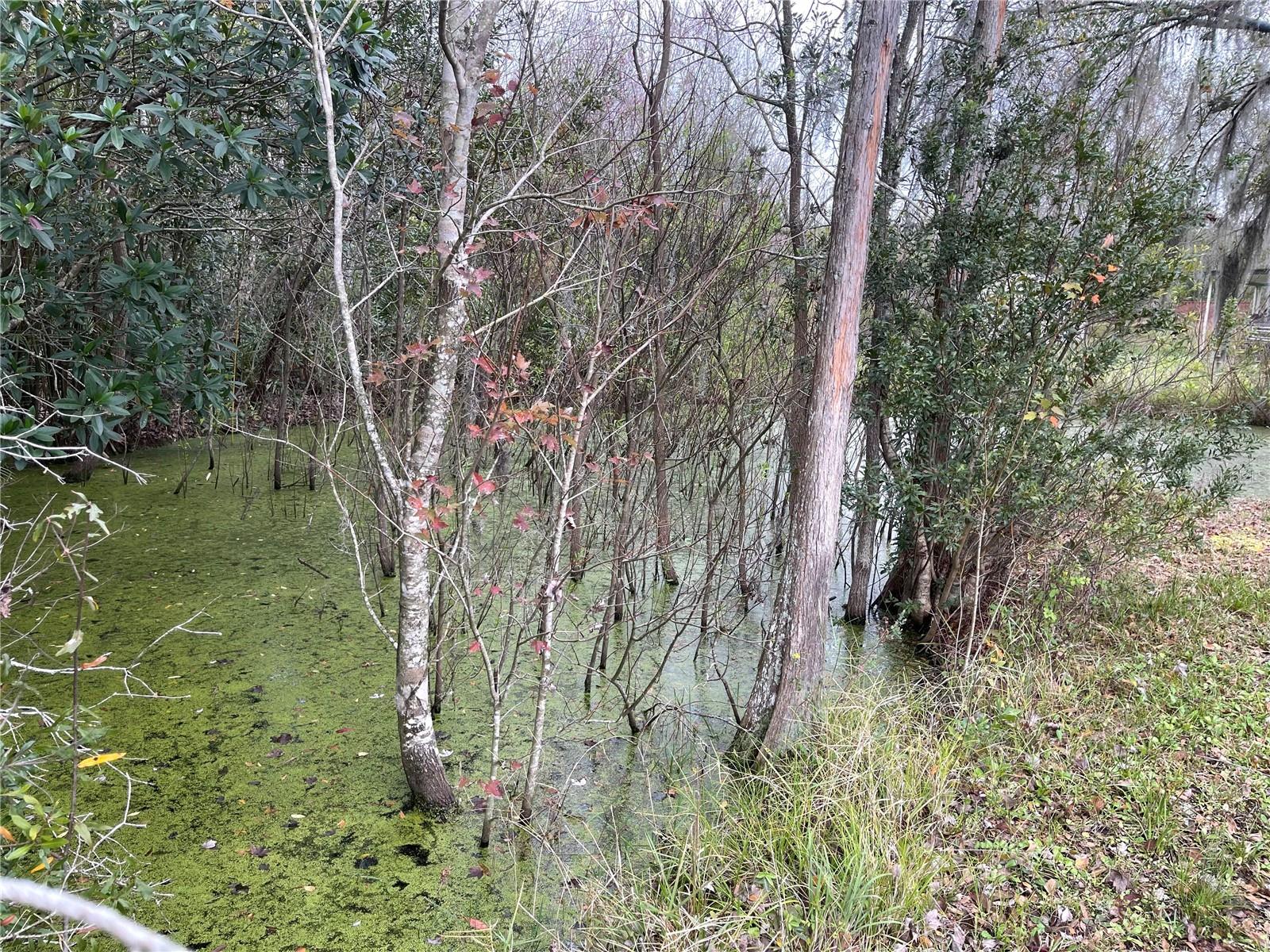 10111 MOORE RD