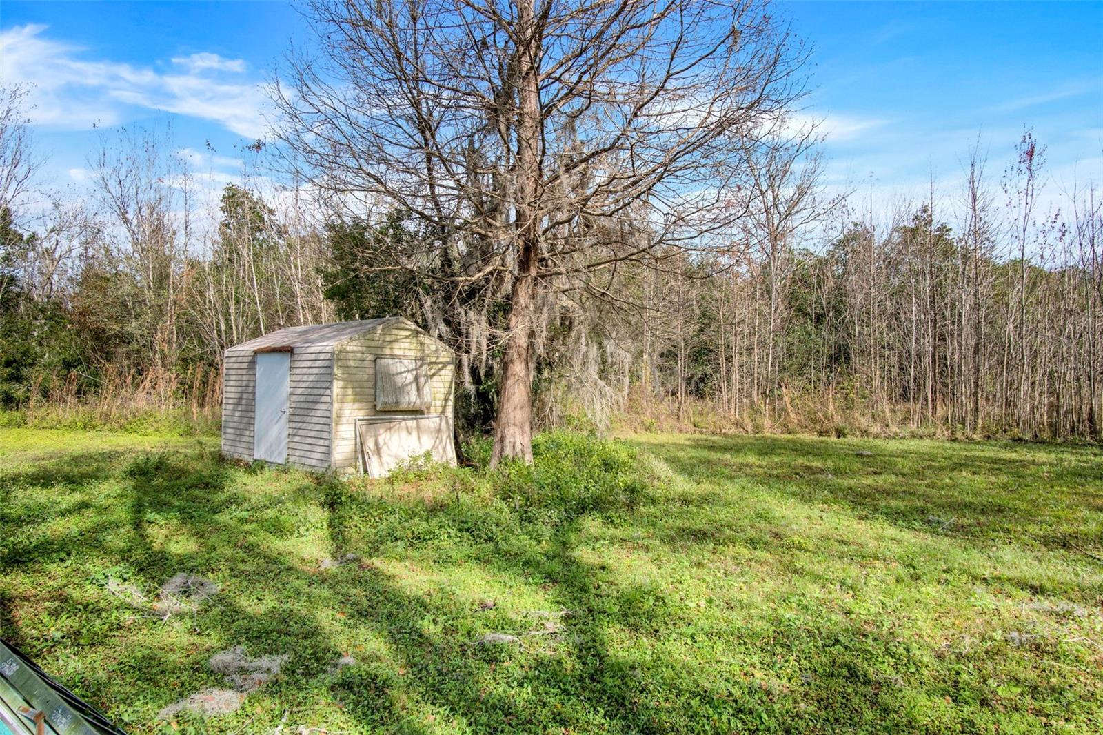 10111 MOORE RD