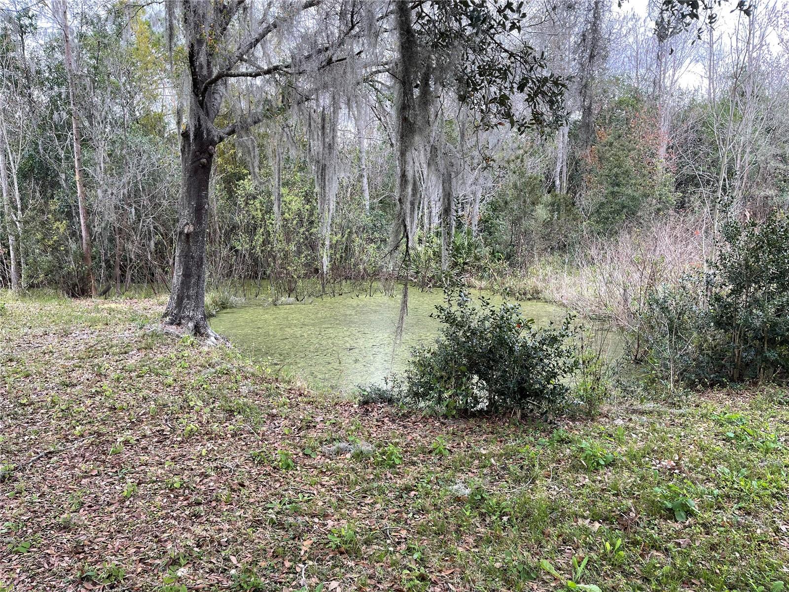 10111 MOORE RD