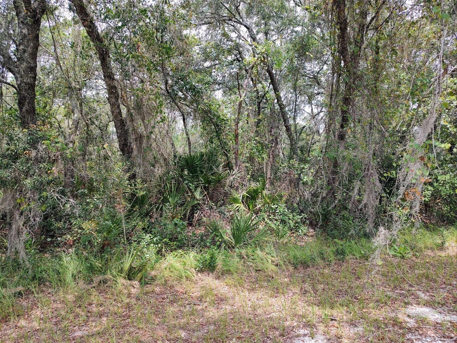 LOT 42 DEER RD