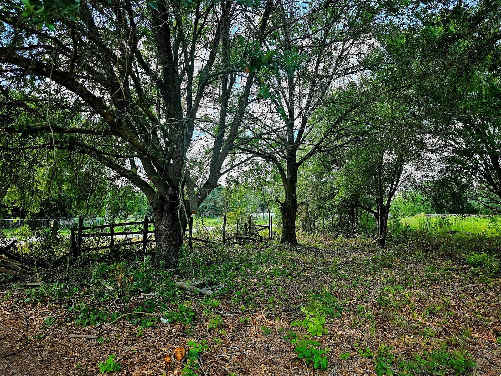 2005 RANCHLAND DR