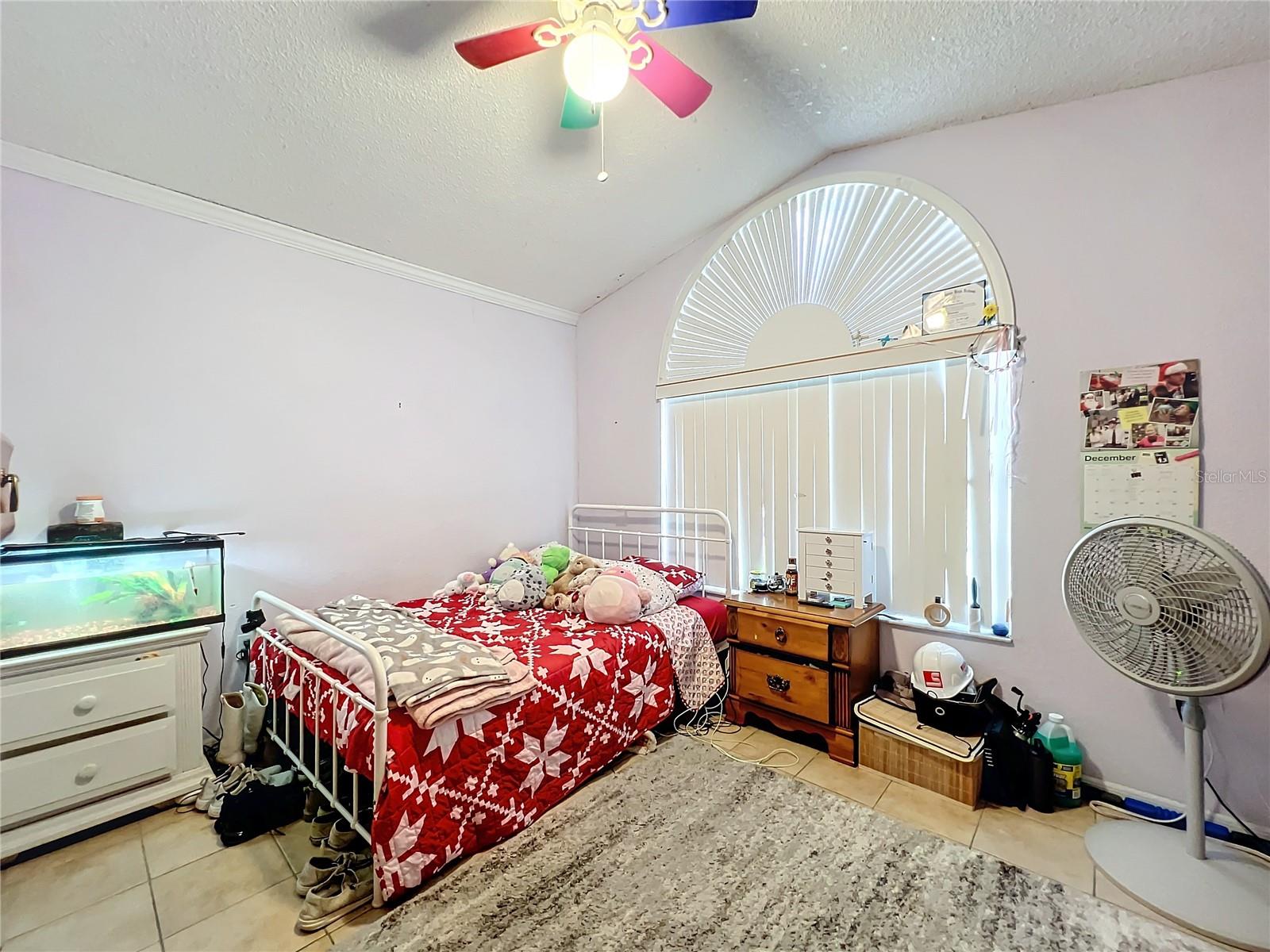 104 BRAD CIR
