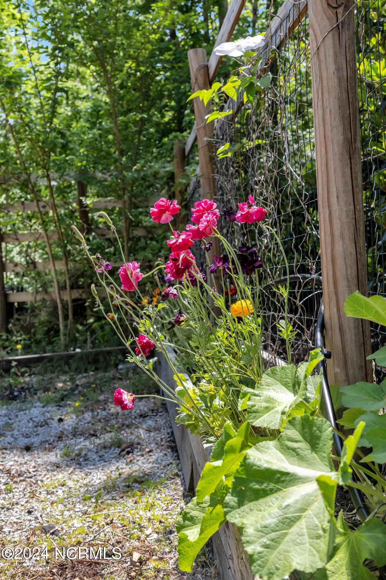 207 Sand Dollar Lane