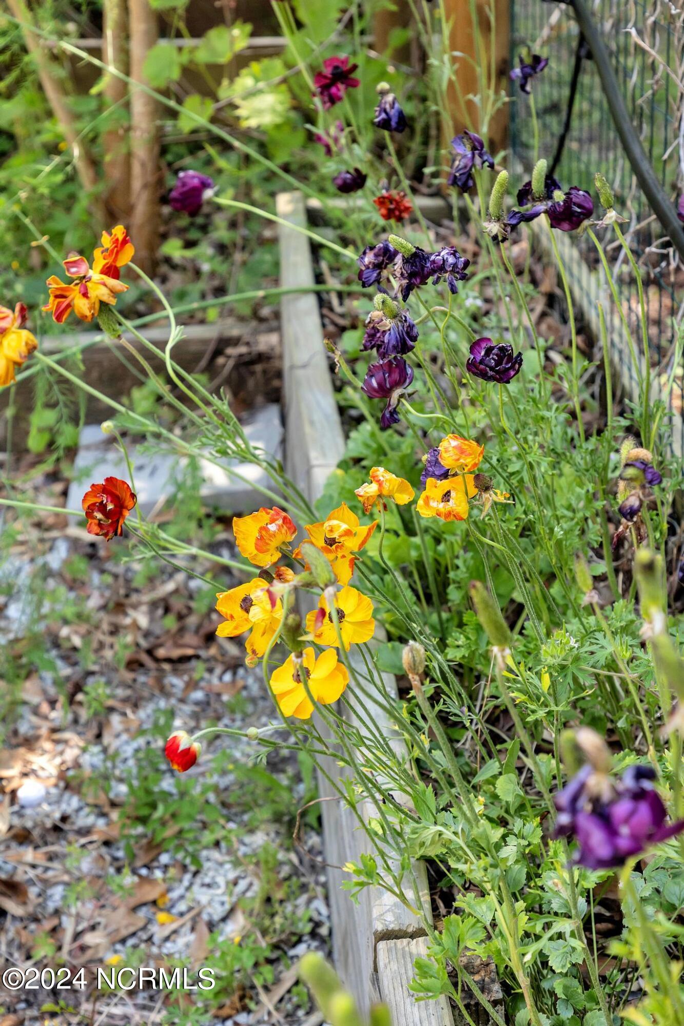 207 Sand Dollar Lane