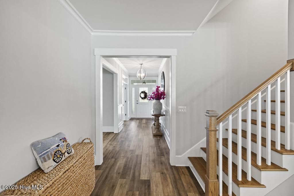 323 Lightning Bug Lane