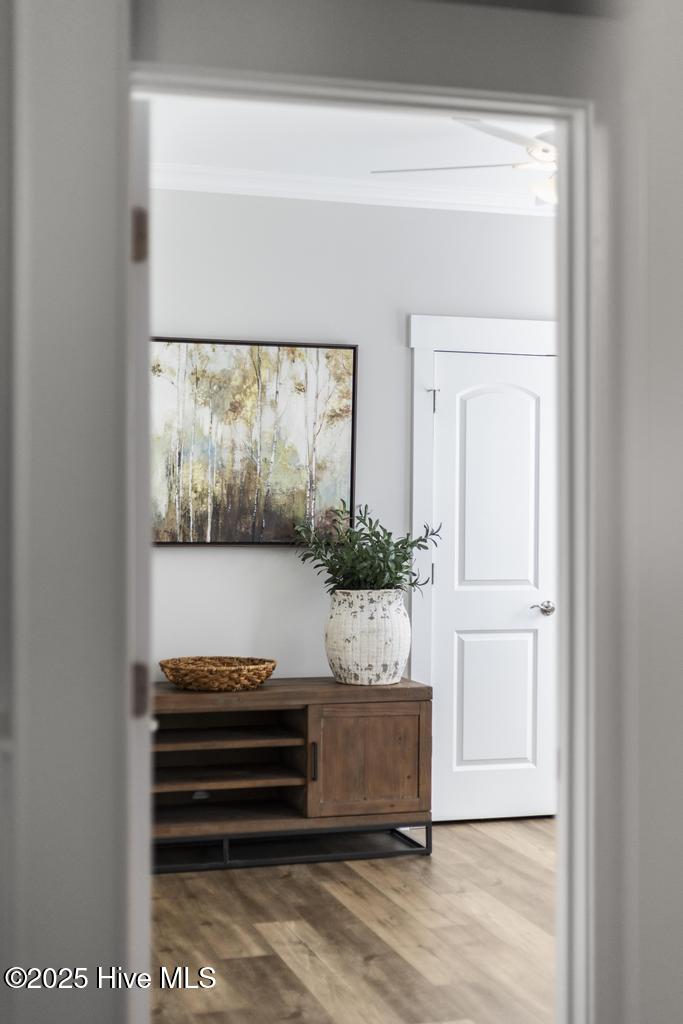 323 Lightning Bug Lane