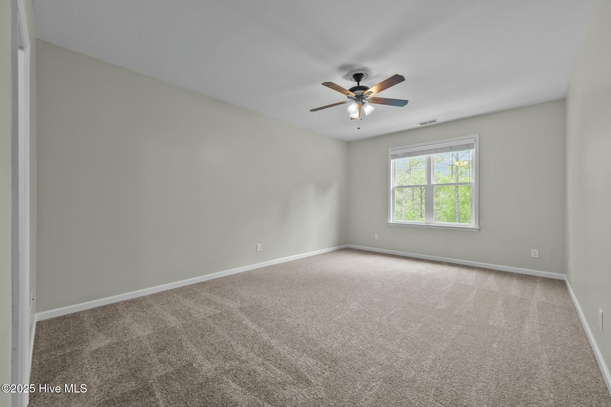 307 Cedar Island Trail