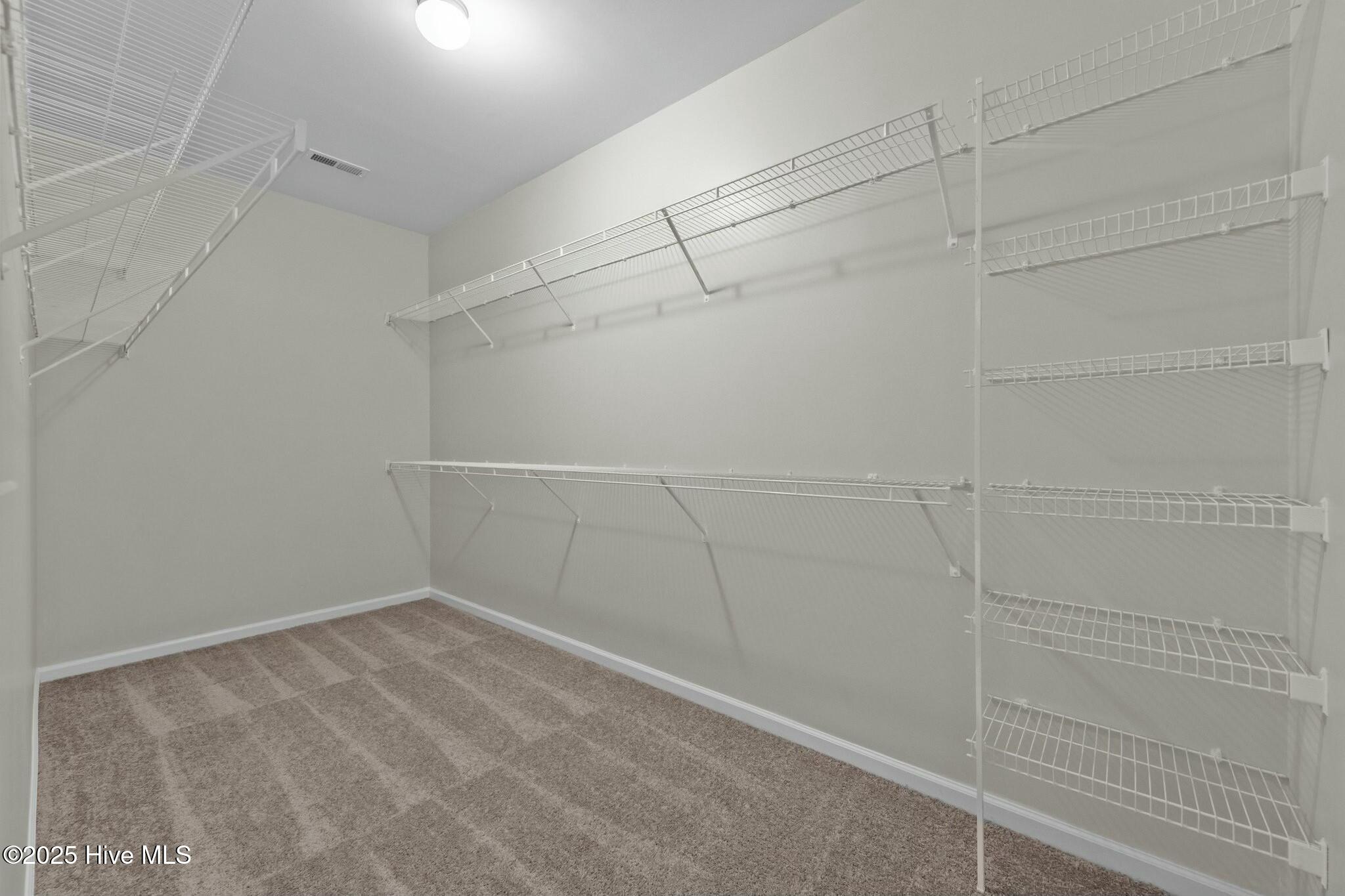 307 Cedar Island Trail