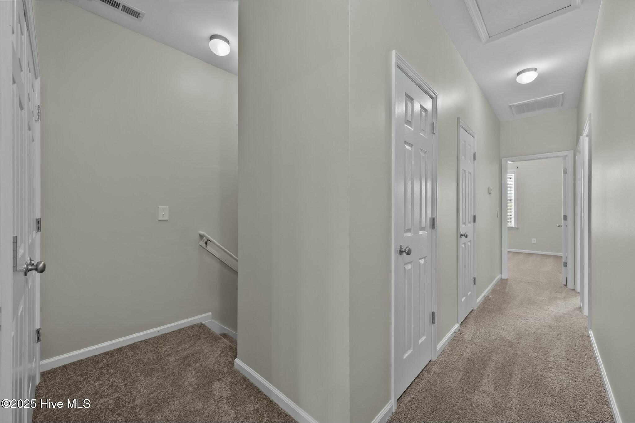 307 Cedar Island Trail