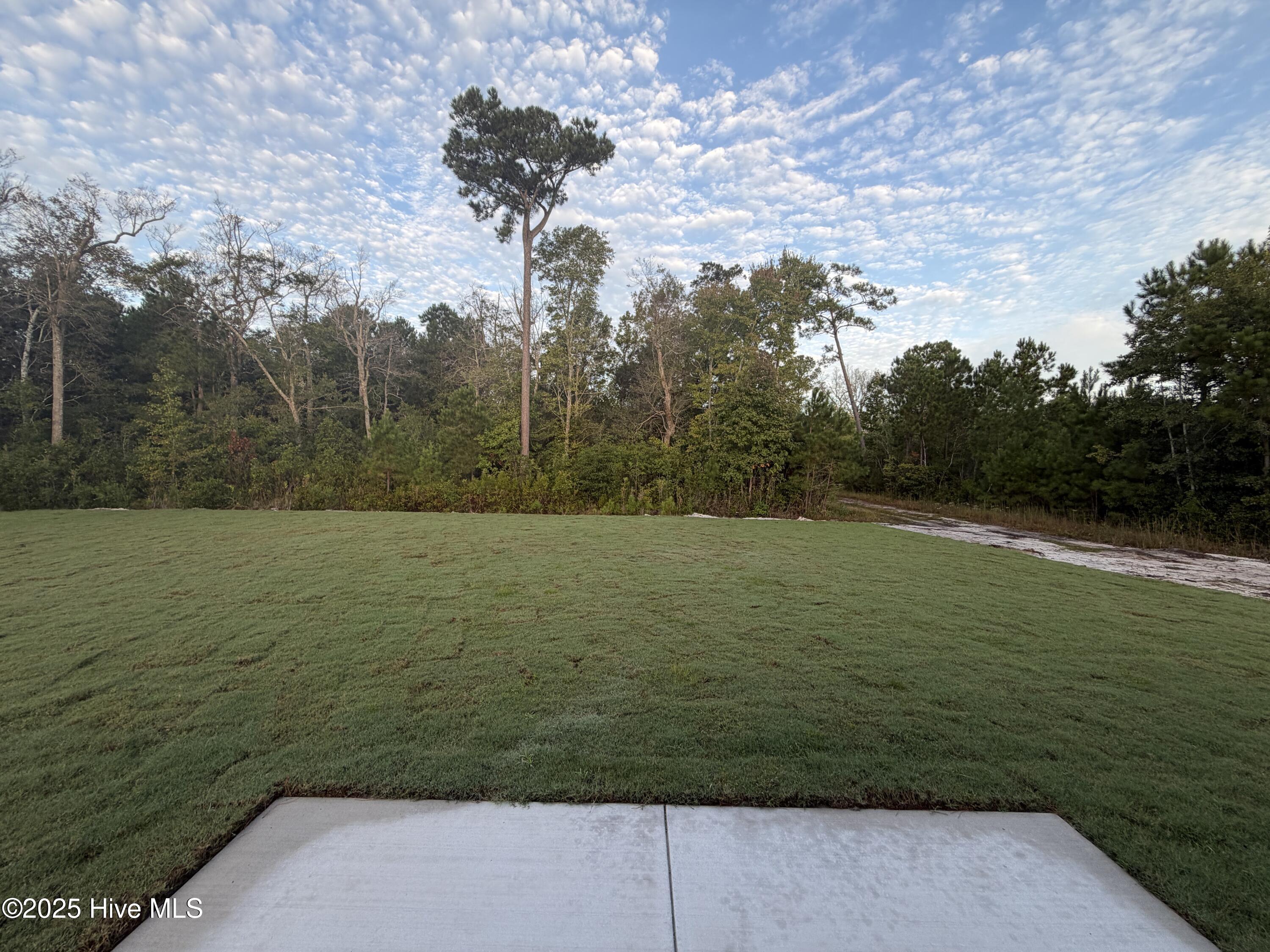 63 N Flicker Meadow