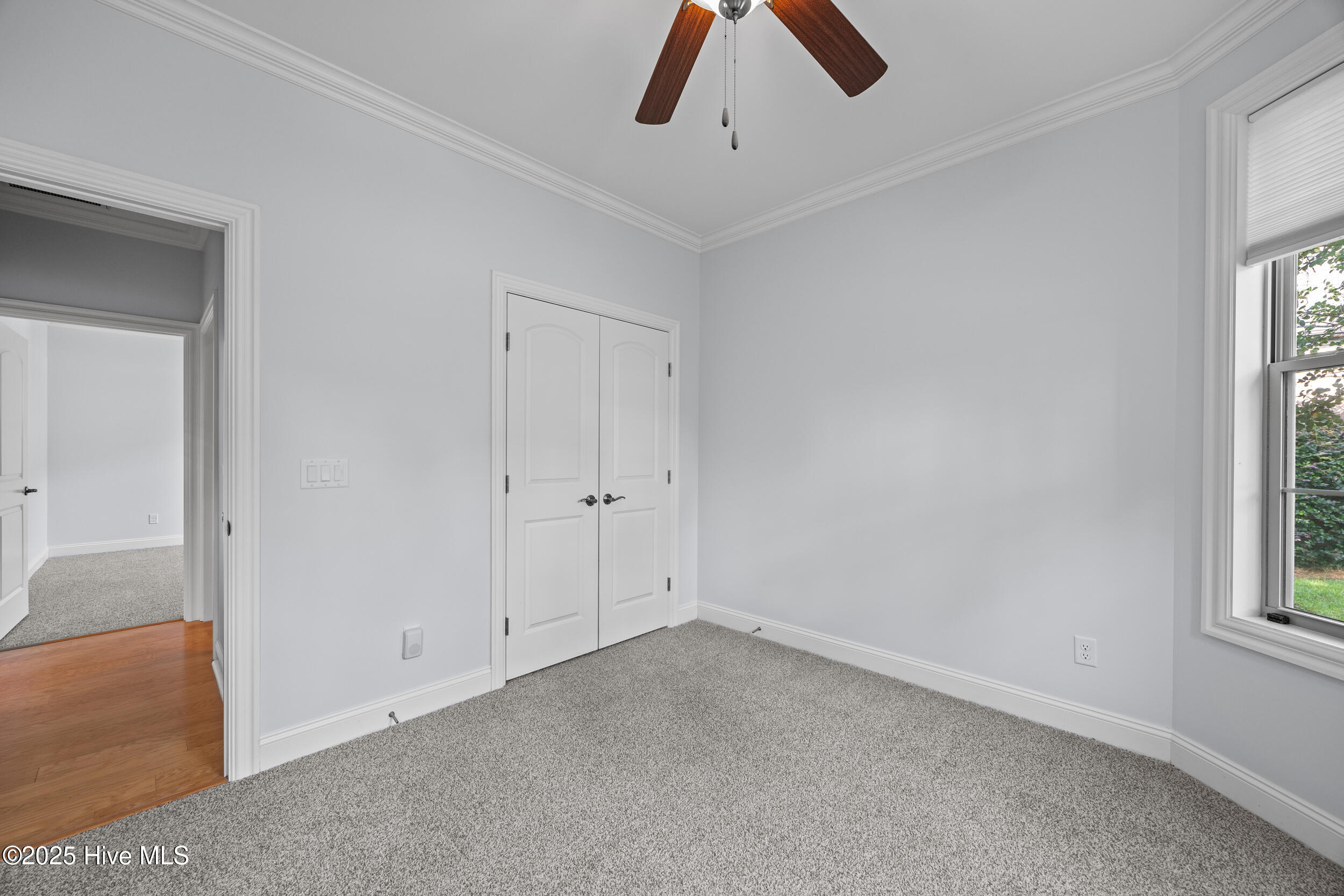 210 Camber Drive