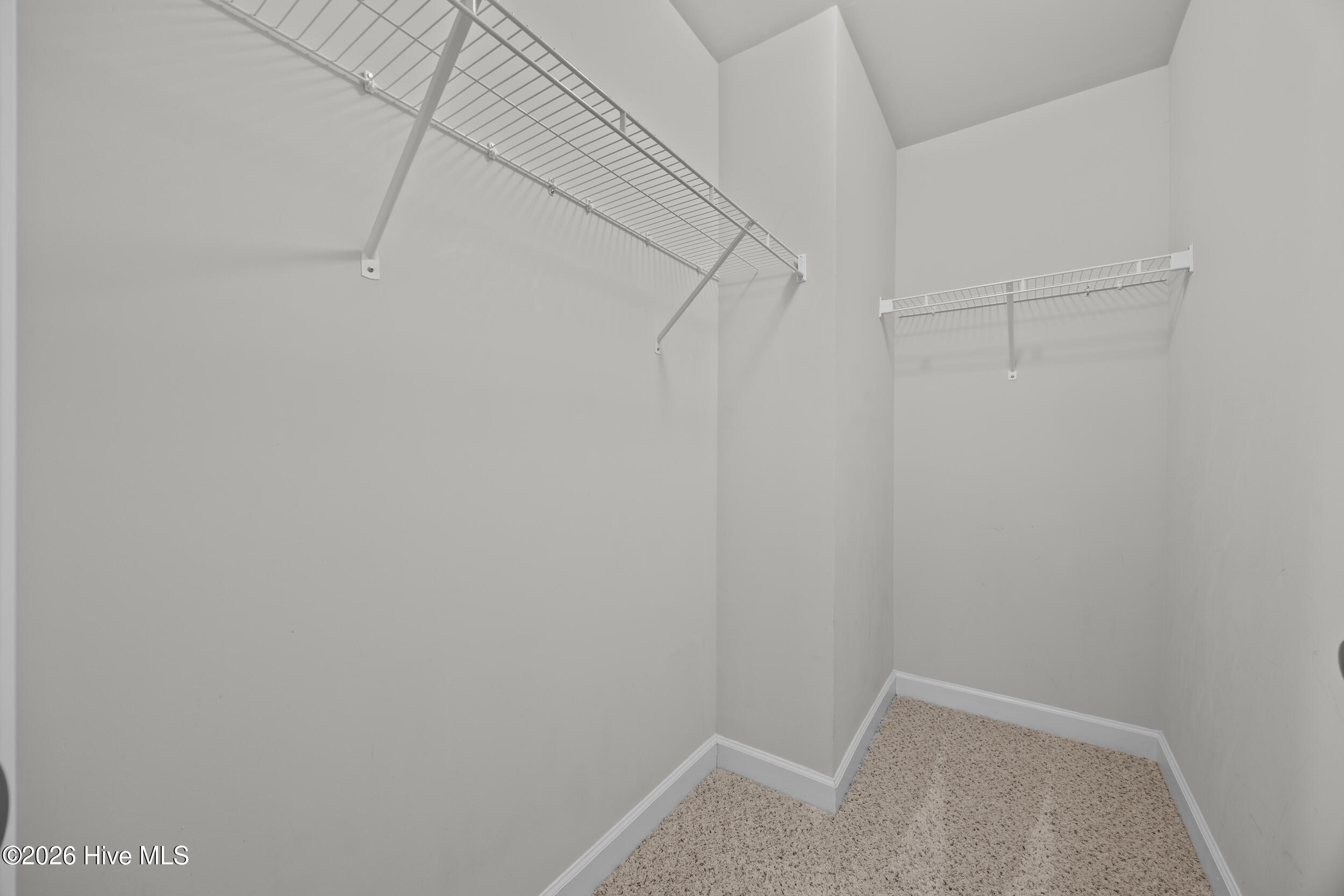 206 Pine Island Drive