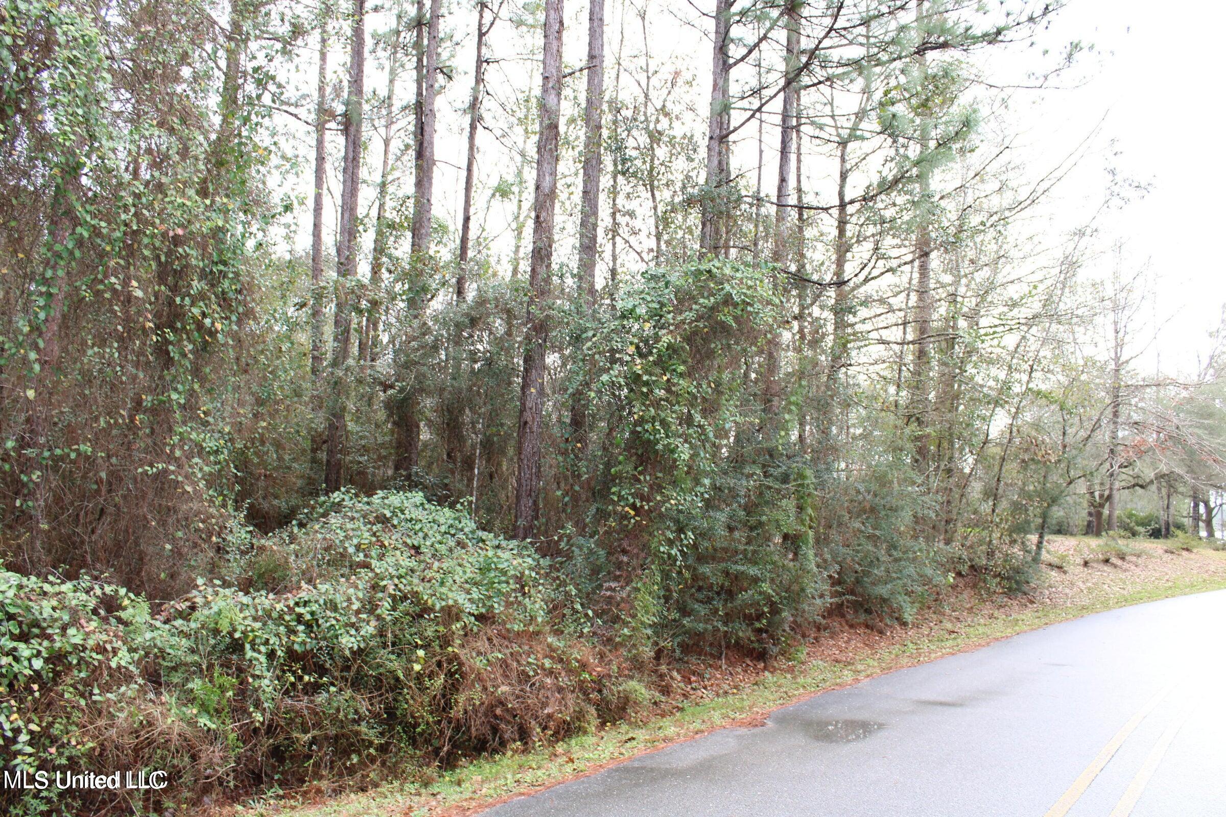 E Spring Lake Drive