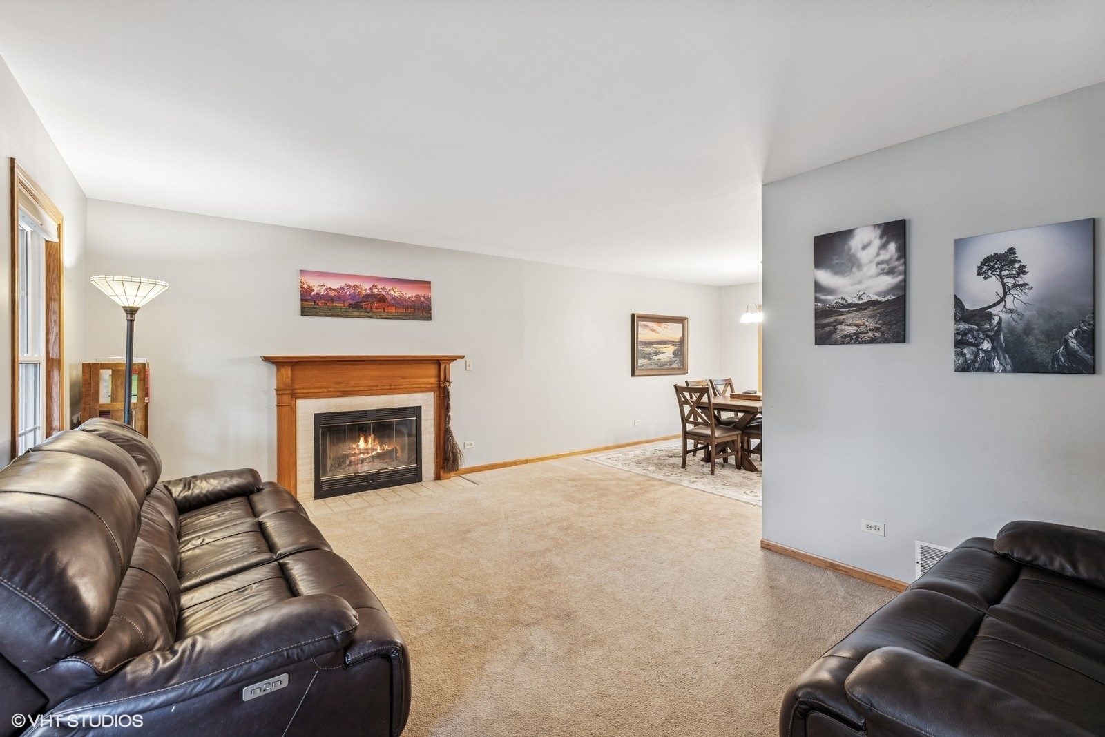 732 Green Castle Court