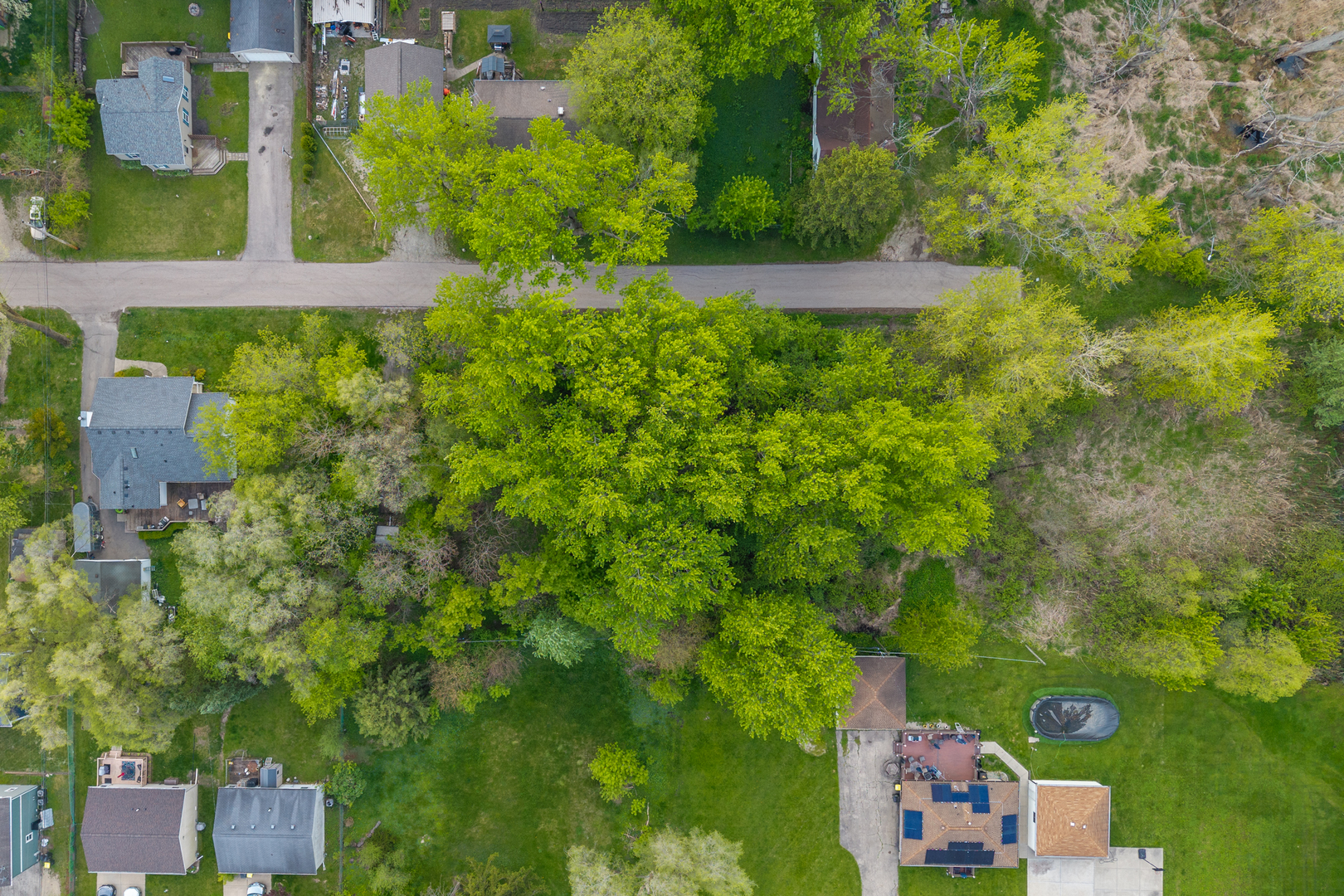520 Elaine Terrace