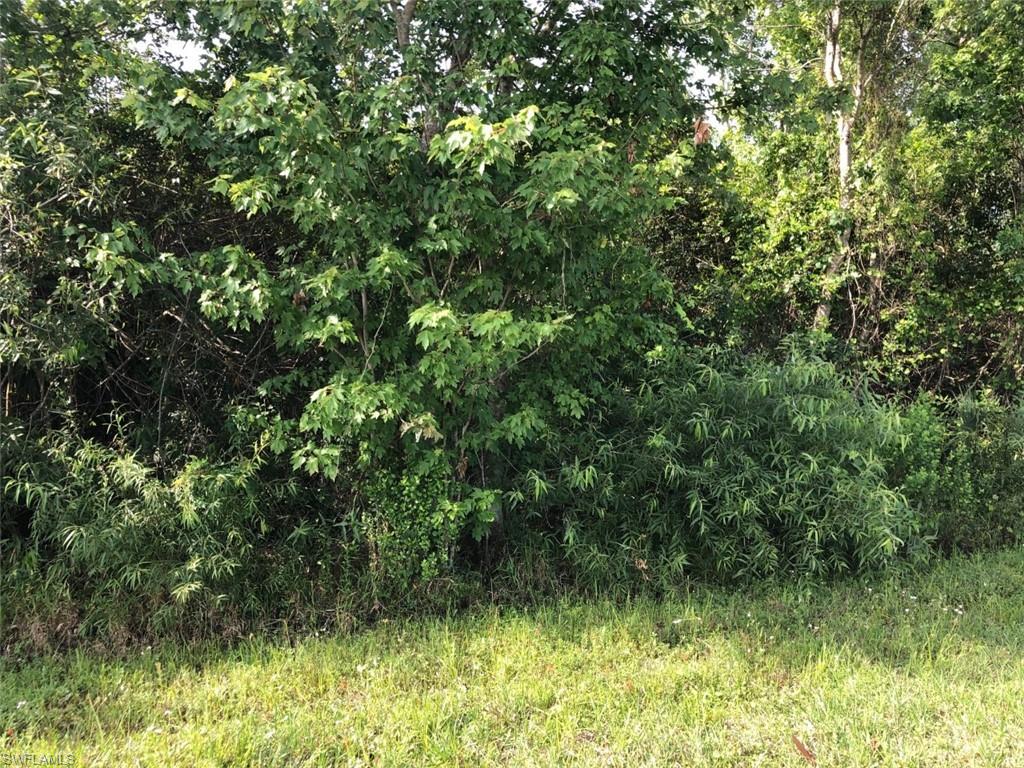 630 Shady Hollow BLVD W
